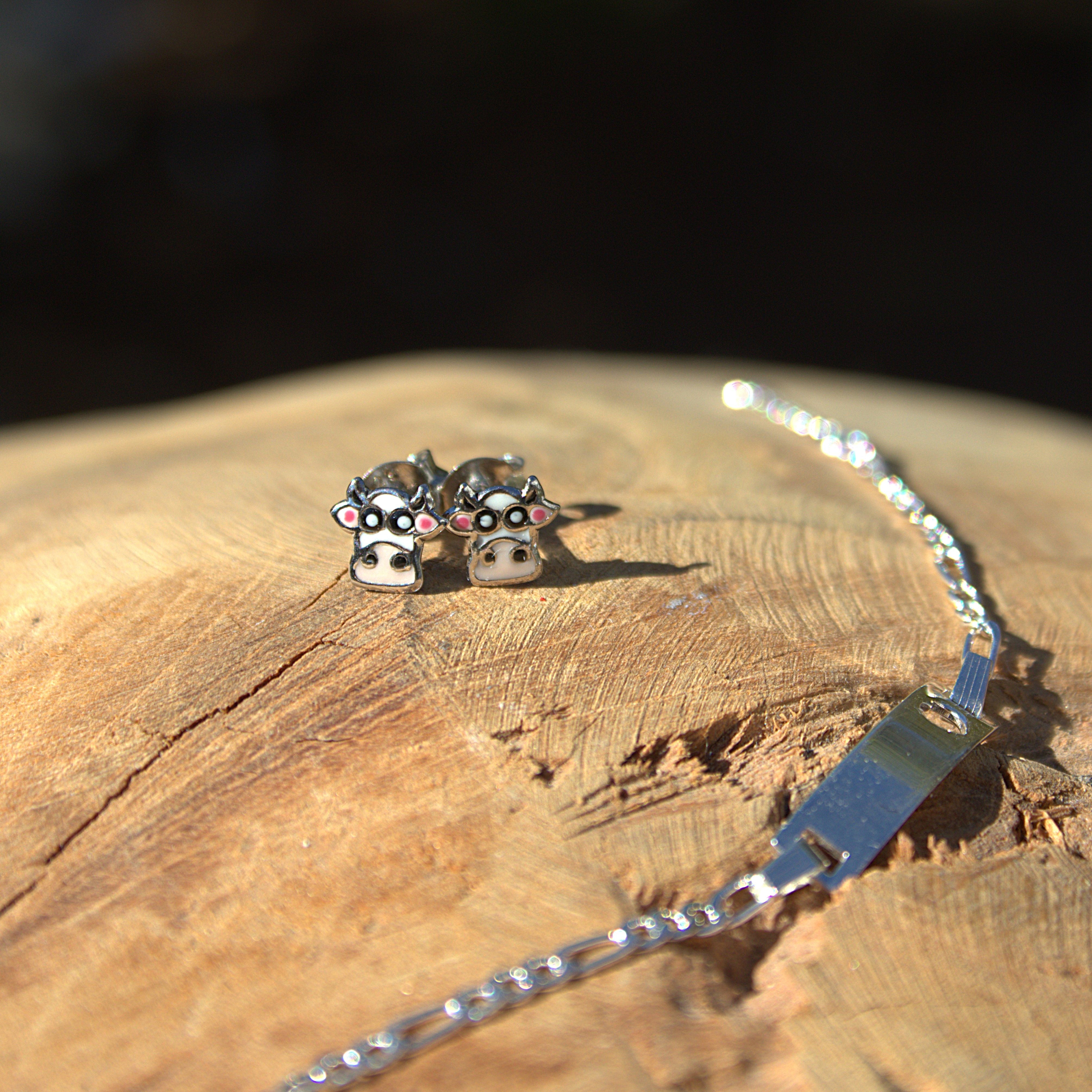 Kindersieraden weergegeven in een natuurlijke setting. Er zijn kinder oorknoppen en een kinder armband van zilver te zien. Ontdek alle kindersieraden bij Clary.