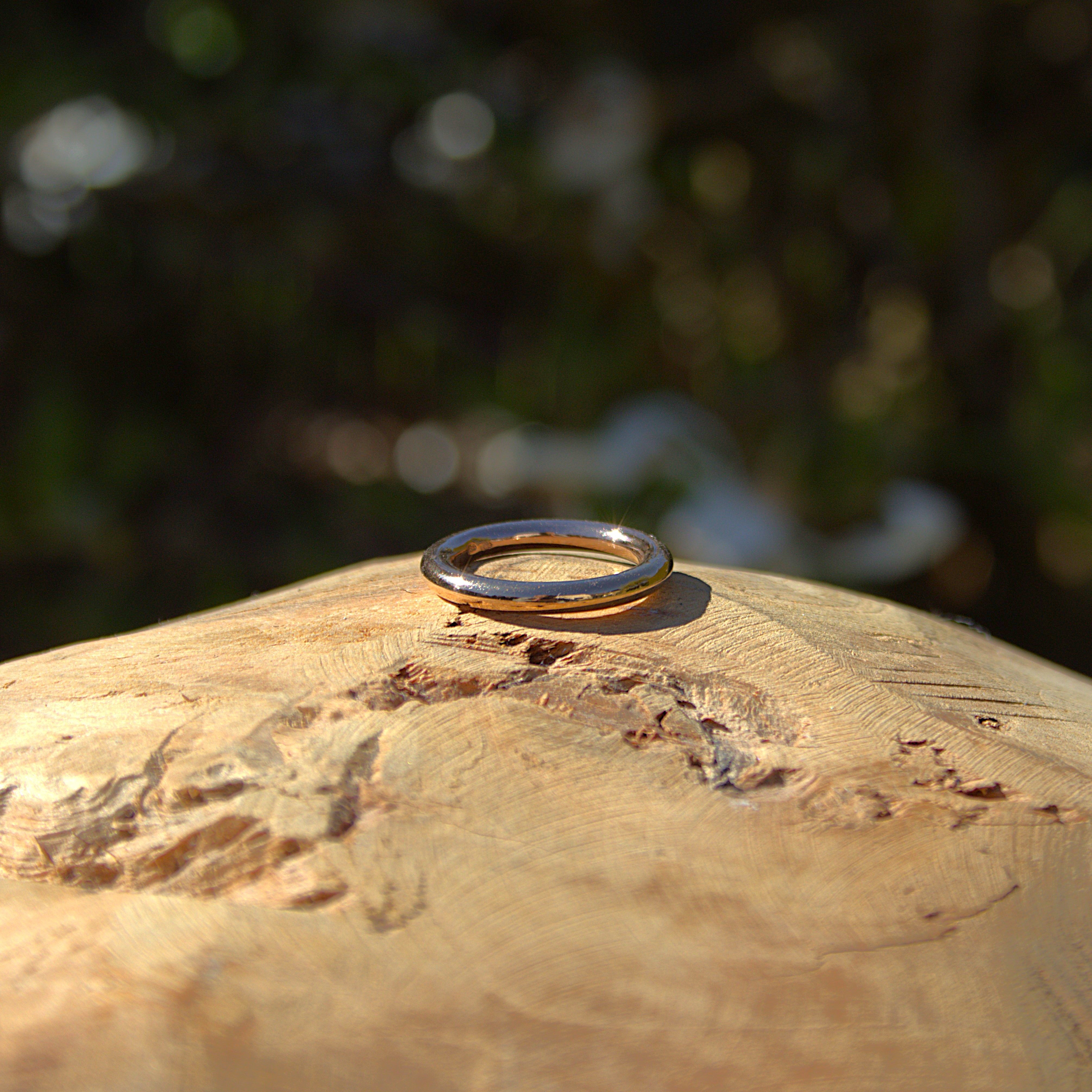 Een roségouden ring weergegeven in een natuurlijke setting. Ontdek alle roségouden sieraden bij Clary.