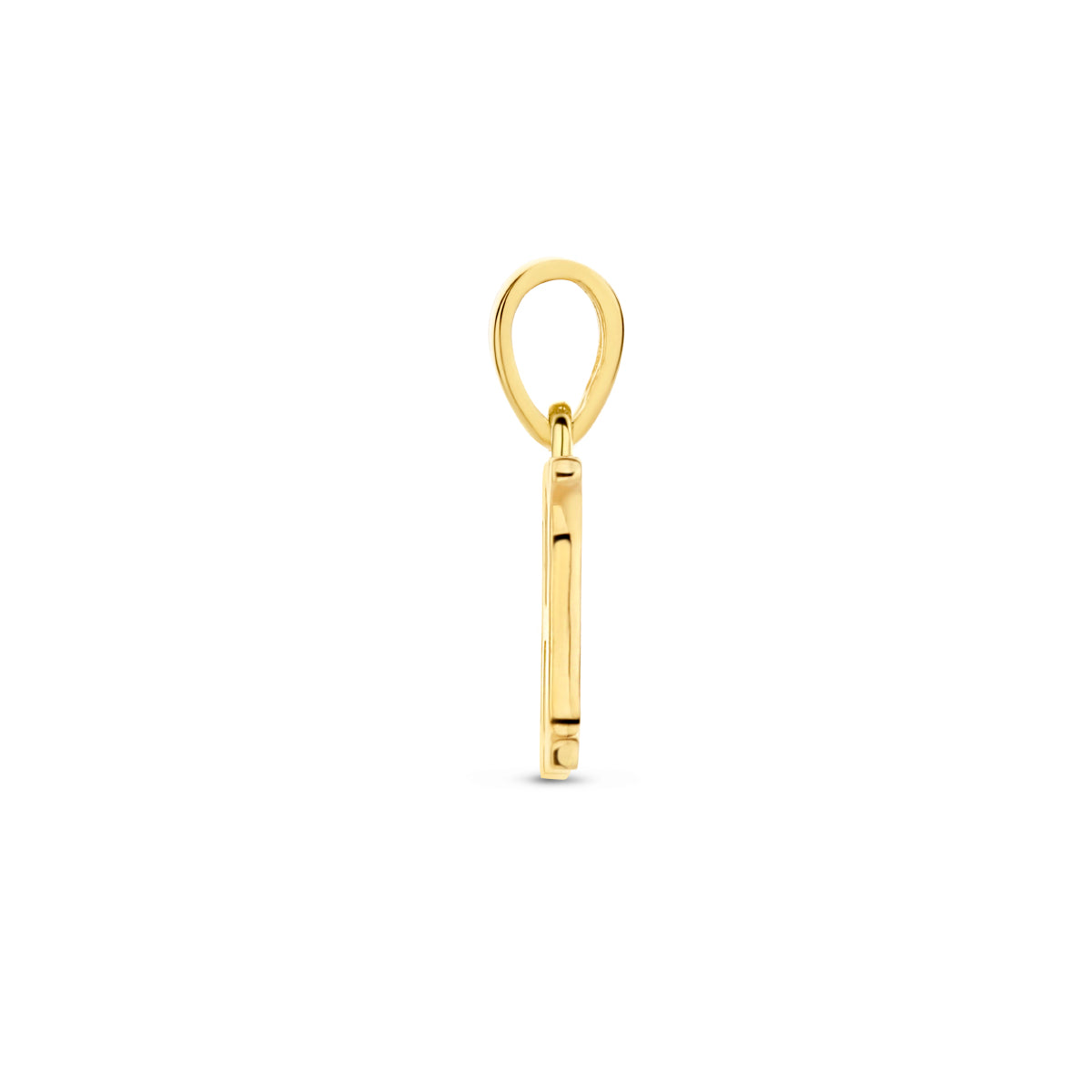 Zijaanzicht van de letterhanger goud van 14 karaat met zirkonia, letter H