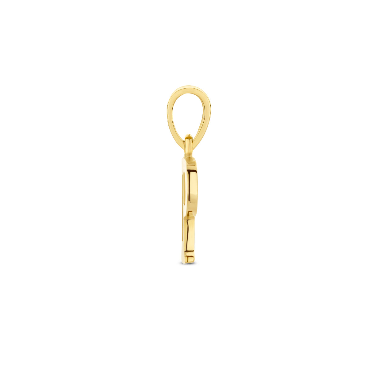 Zijaanzicht van de letterhanger goud van 14 karaat met zirkonia, letter P