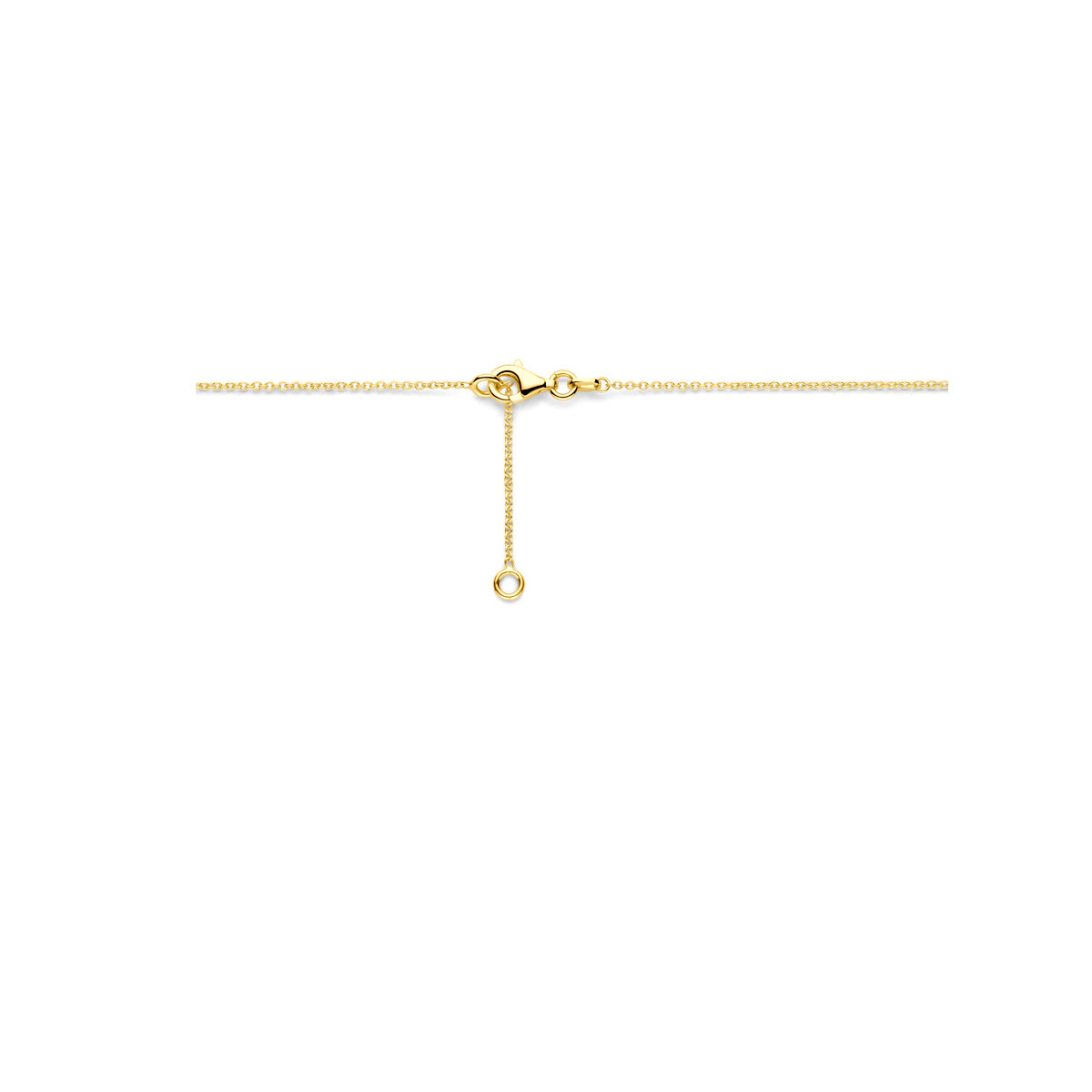 Detail van de sluiting van de 14 karaat gouden schakelketting