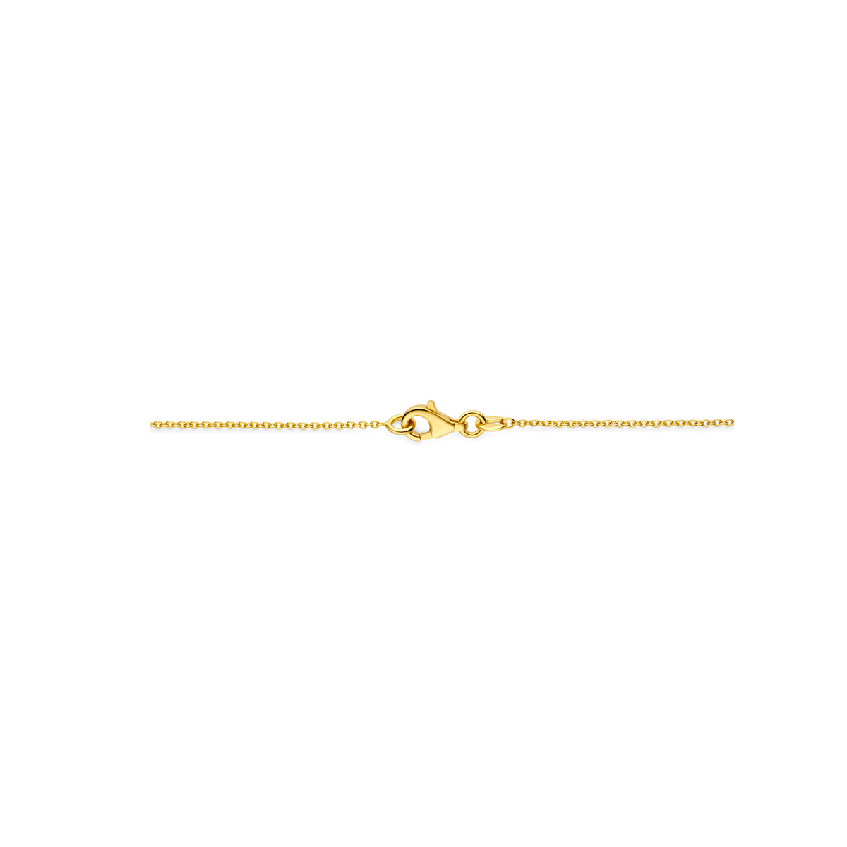 Detail van de sluiting van de 14 karaat gouden schakelketting