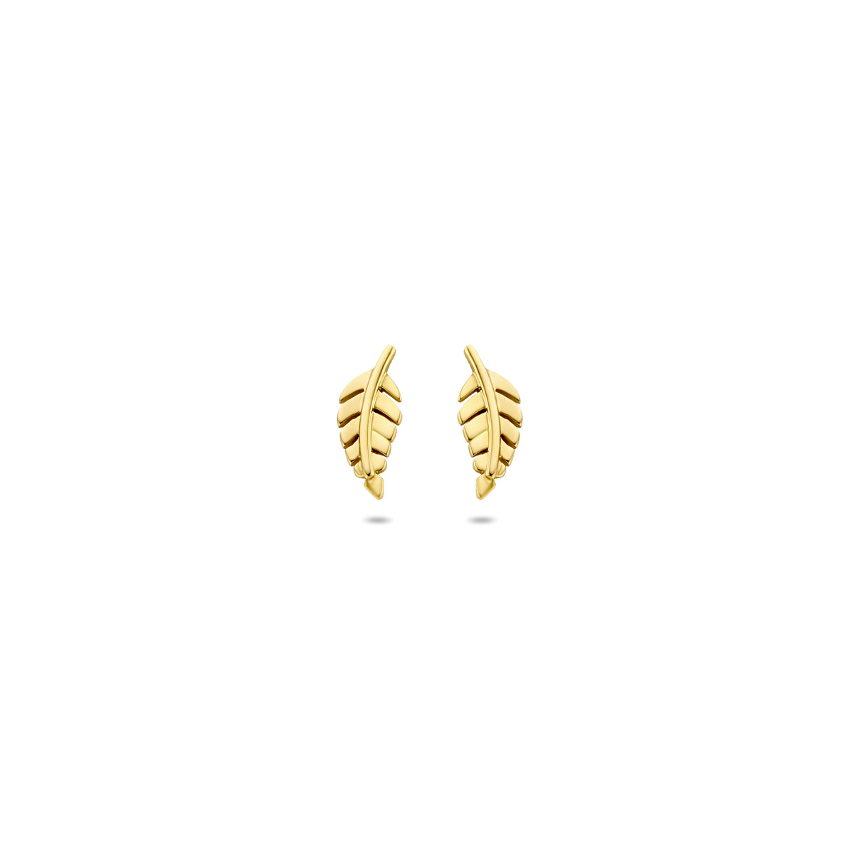 Vooraanzicht van de 14 karaat geelgouden oorknoppen veer, 8 mm hoog en 3,5 mm breed.