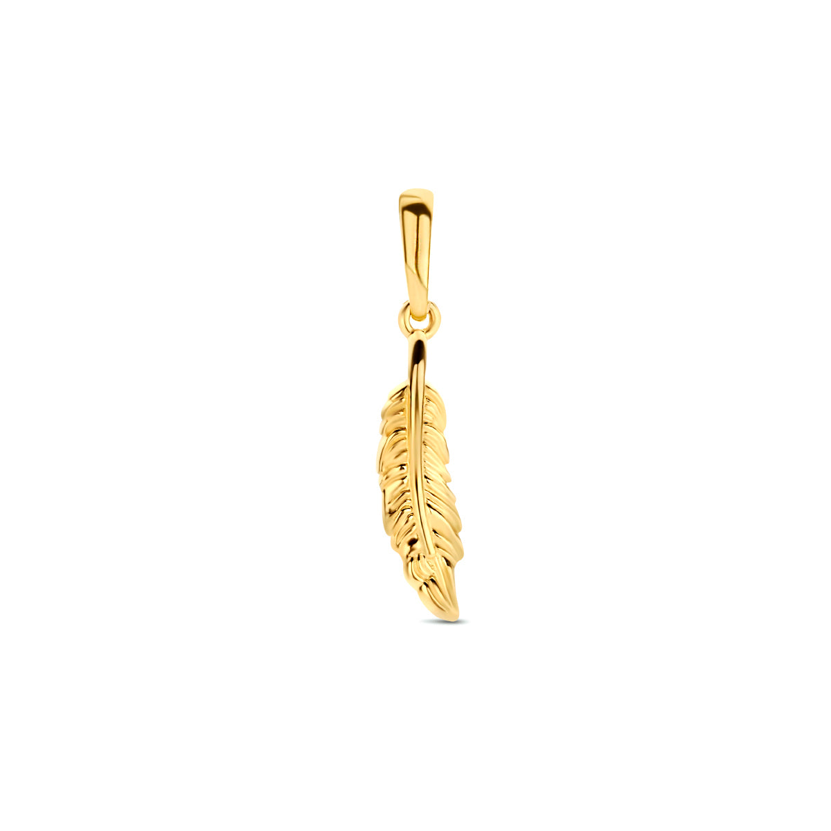 Vooraanzicht van de 14 karaat geelgouden veer hanger, 20 mm hoog en 3,5 mm breed.