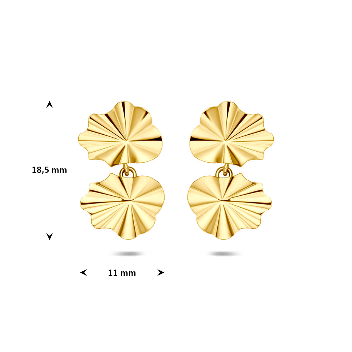 Gouden oorhangers: afmetingen van de 14 karaat geelgouden waaier oorhangers, 18,5 mm hoog en 11,0 mm breed.