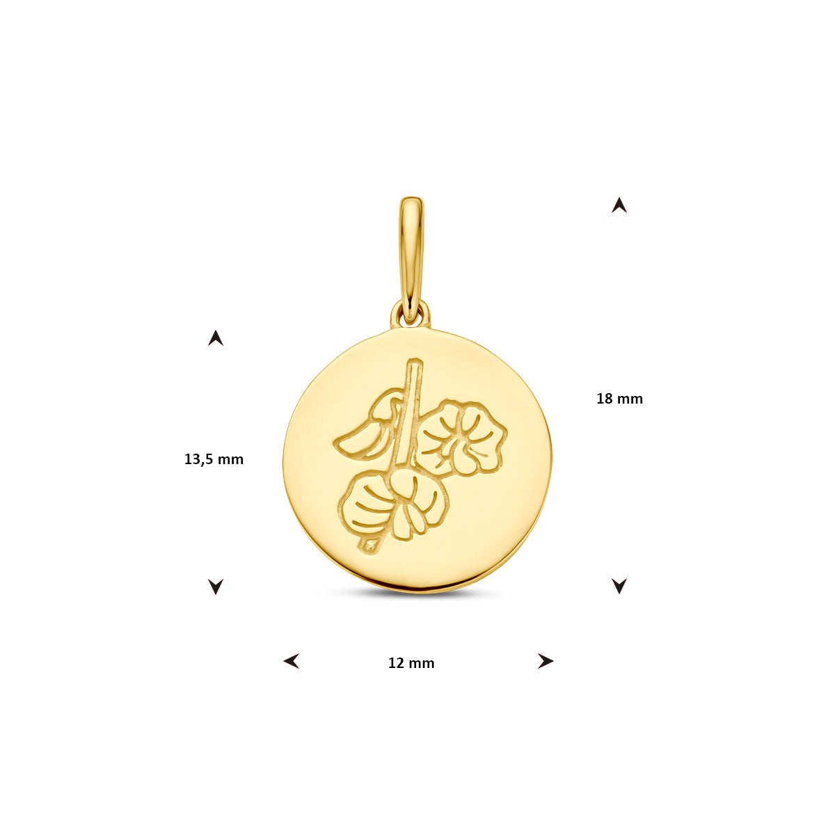 Afmetingen van de gouden geboortebloem hanger april van 14 karaat: 18 mm hoog inclusief oog, 13,5 mm zonder oog en 12 mm doorsnee.