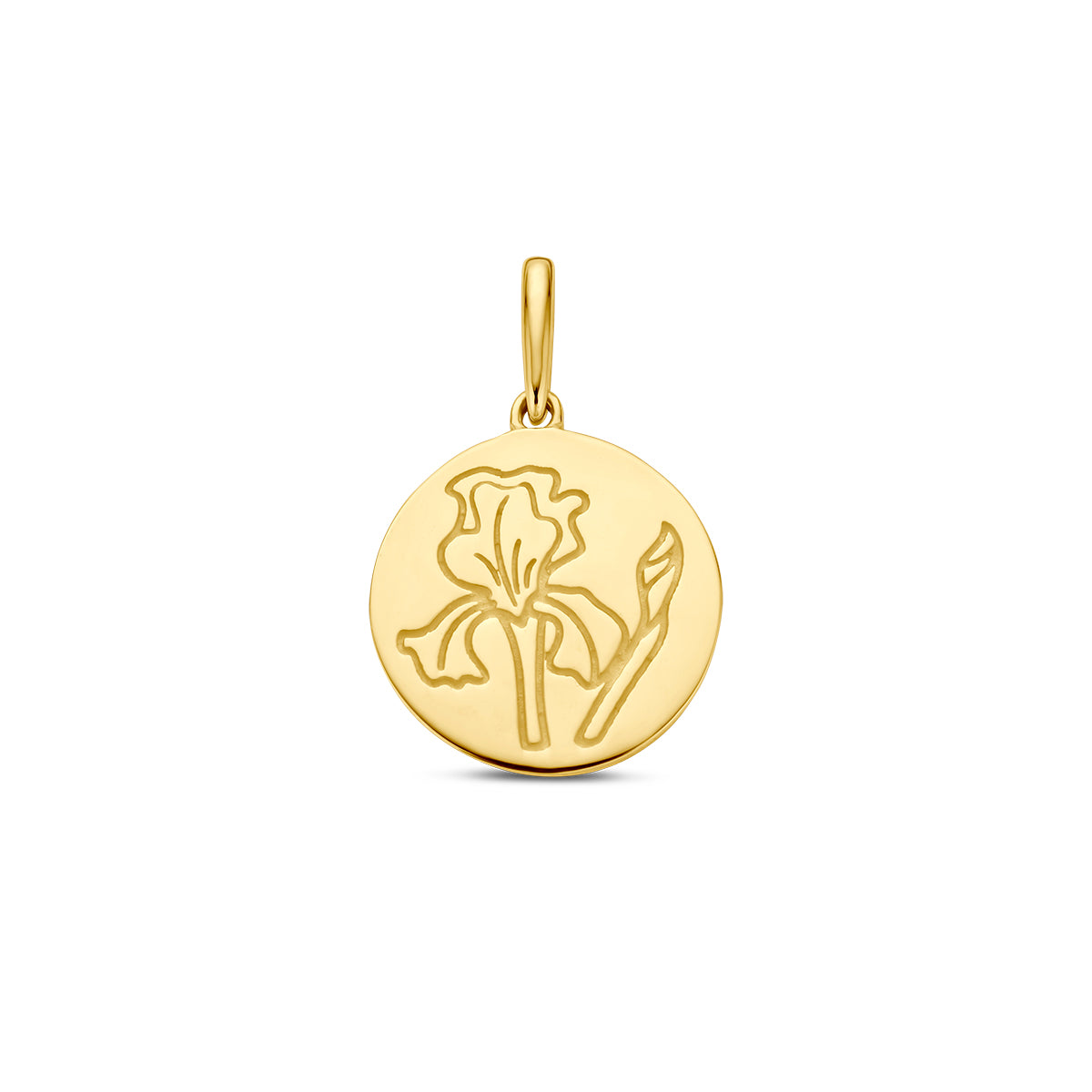 Vooraanzicht van de gouden geboortebloem hanger februari van 14 karaat.