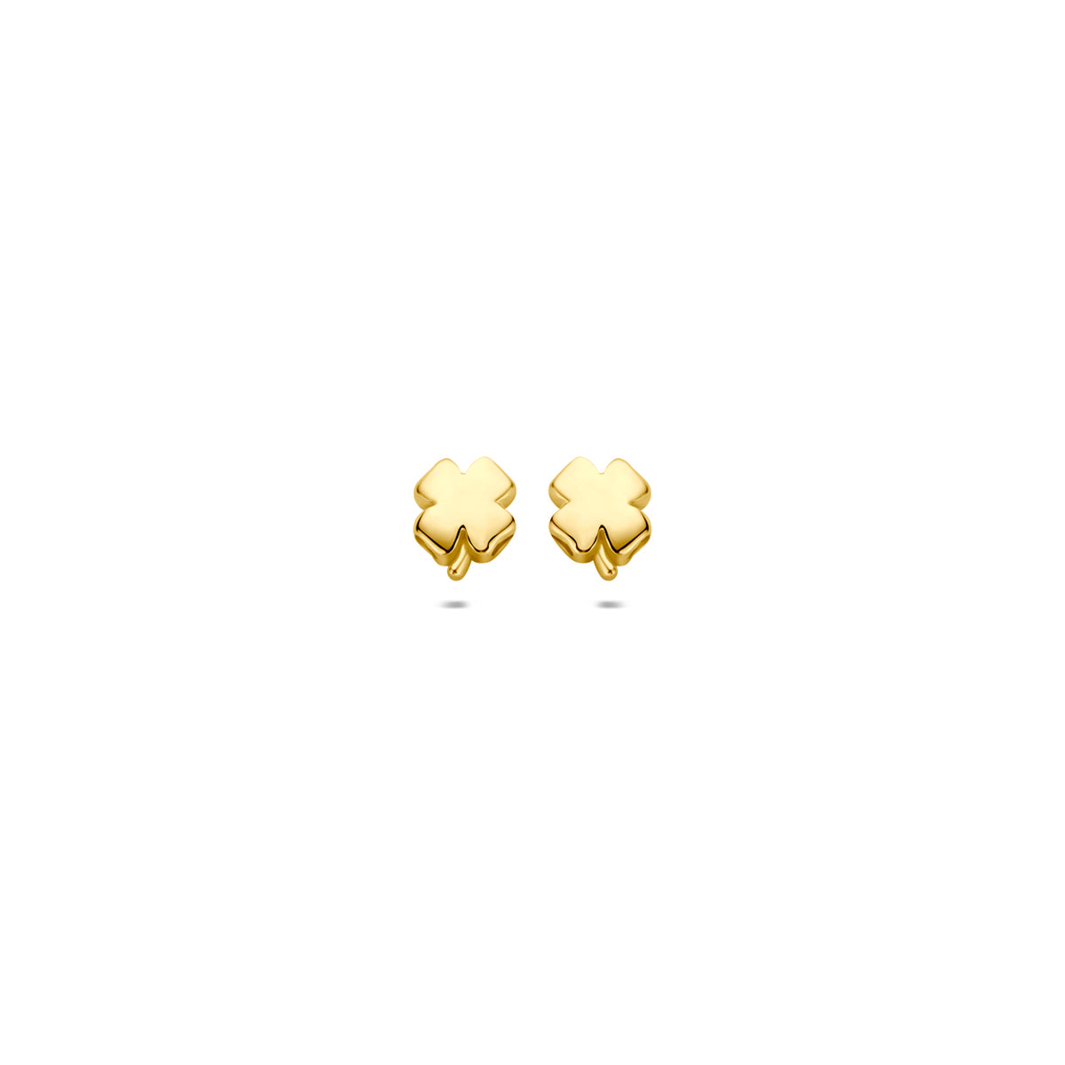 Vooraanzicht van de gouden klaver oorknopjes van 14 karaat.