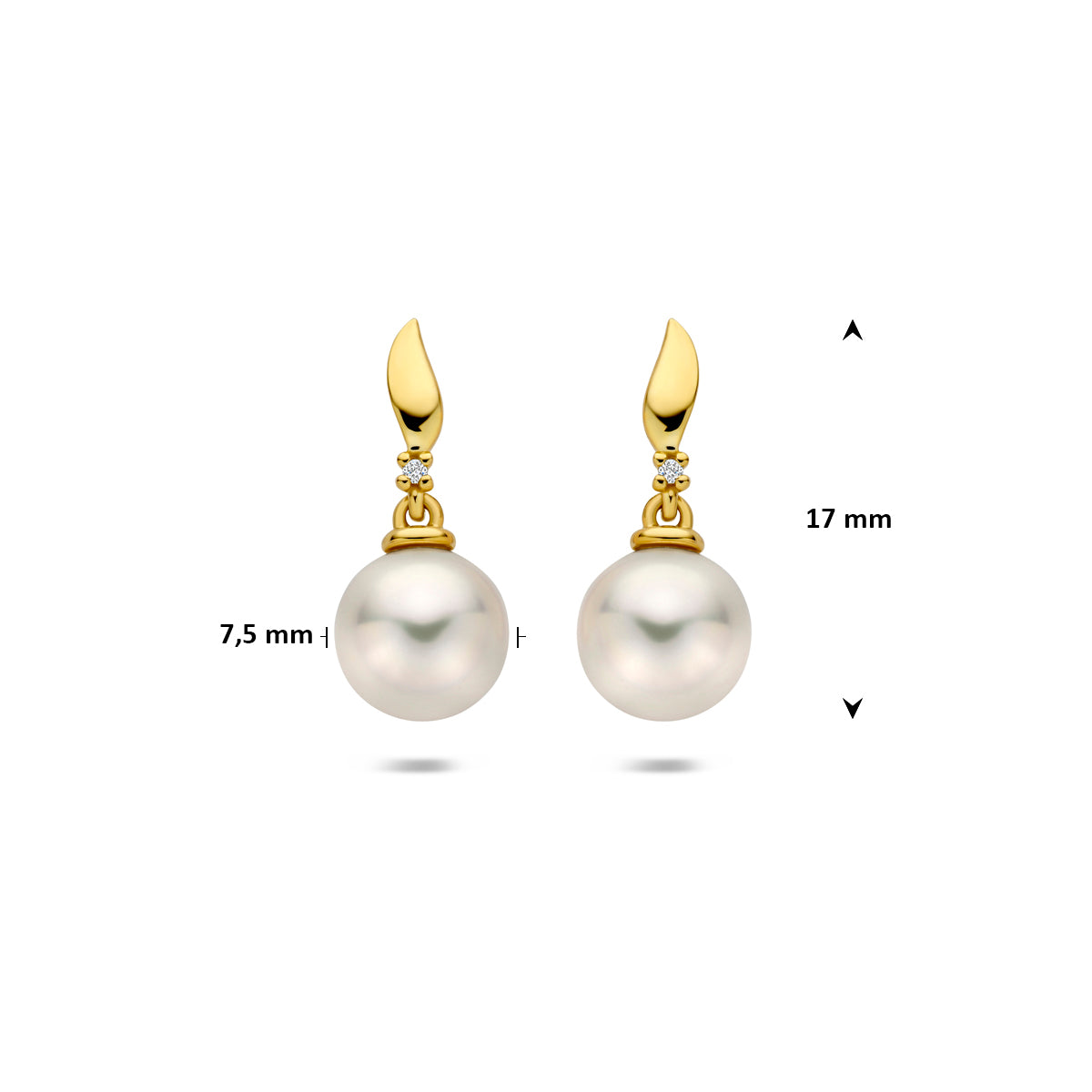 Afmetingen van de gouden oorhangers met parel en diamant van 14 karaat: 17 mm hoog en 7,5 mm breed.