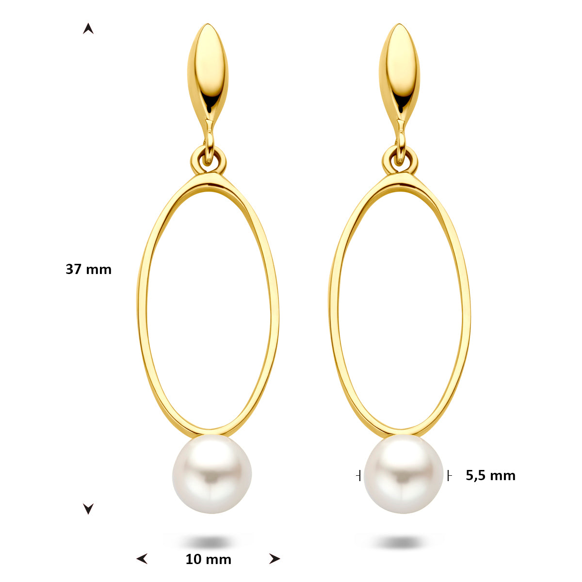 Afmetingen van de gouden oorhangers met witte parel van 14 karaat: 37 mm hoog en 10 mm breed.