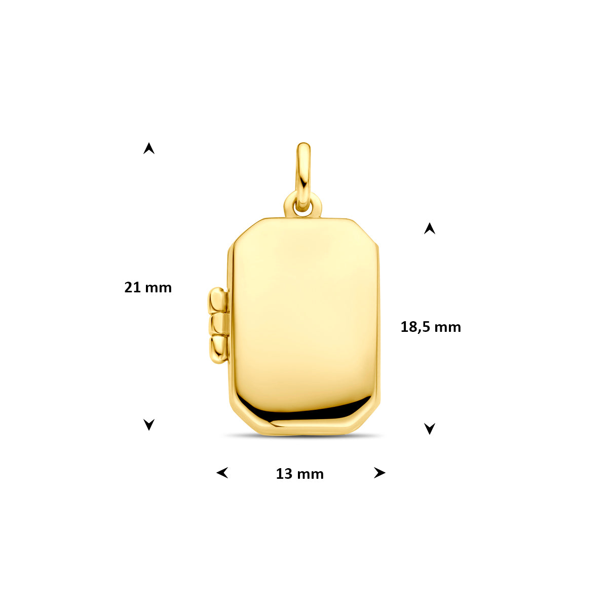 Afmetingen van de gouden rechthoekige medaillonhanger van 14 karaat: 21 mm hoog inclusief oog, 18,5 mm zonder oog en 13 mm breed.