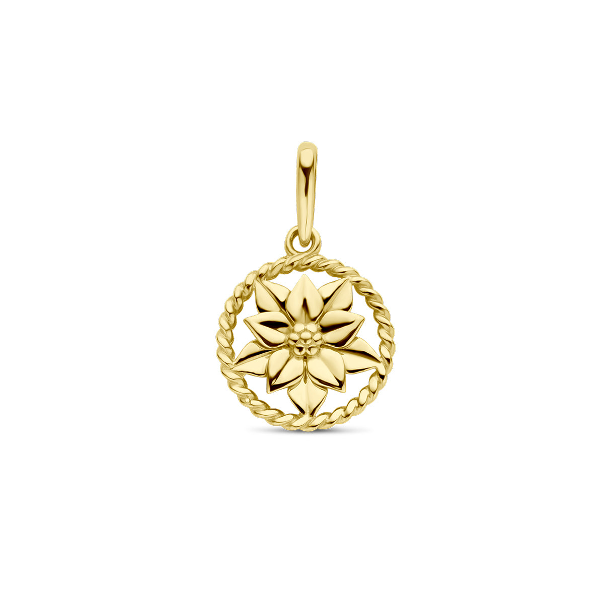 Vooraanzicht van de gouden ronde geboortebloem hanger december van 14 karaat.