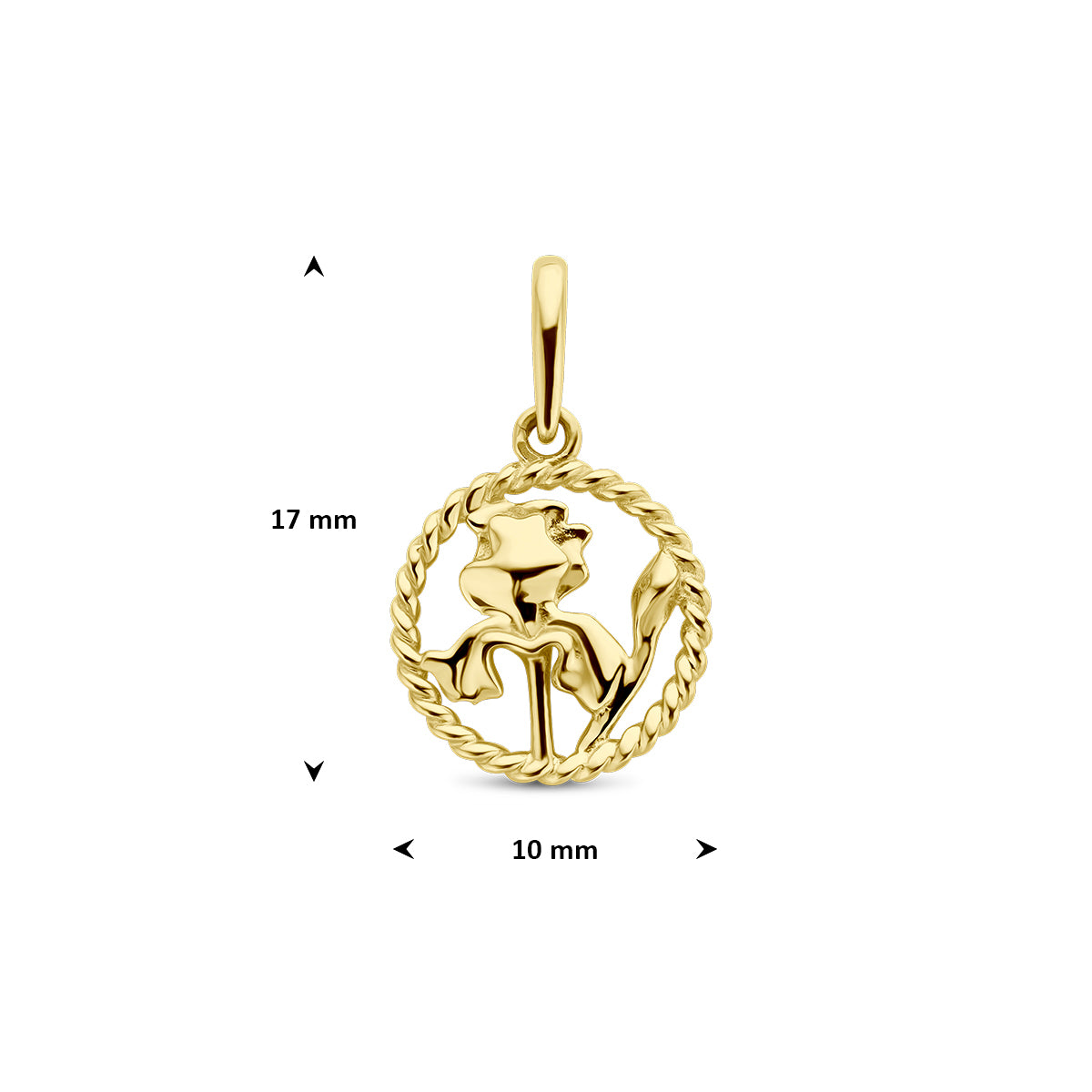 Afmetingen van de gouden ronde geboortebloem hanger februari van 14 karaat: 17 mm hoog inclusief oog en 10 mm doorsnee.