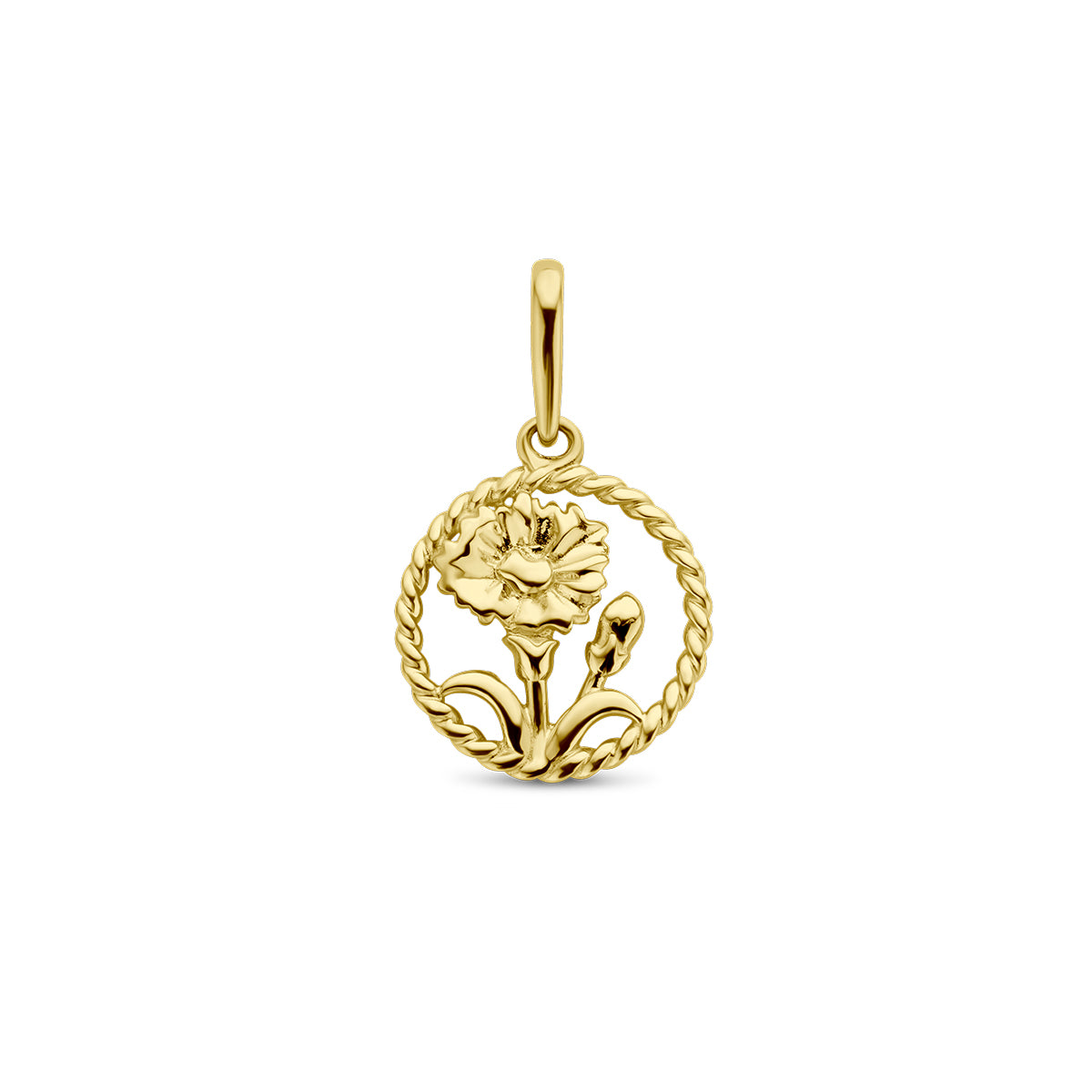 Vooraanzicht van de gouden ronde geboortebloem hanger januari van 14 karaat.