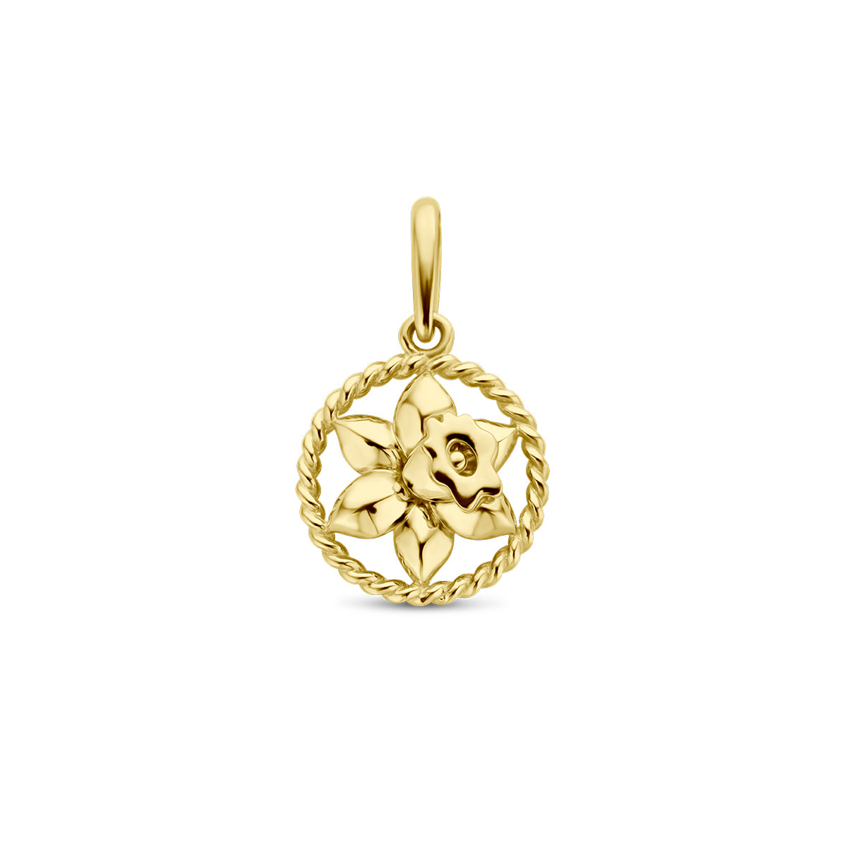 Vooraanzicht van de gouden ronde geboortebloem hanger maart van 14 karaat.