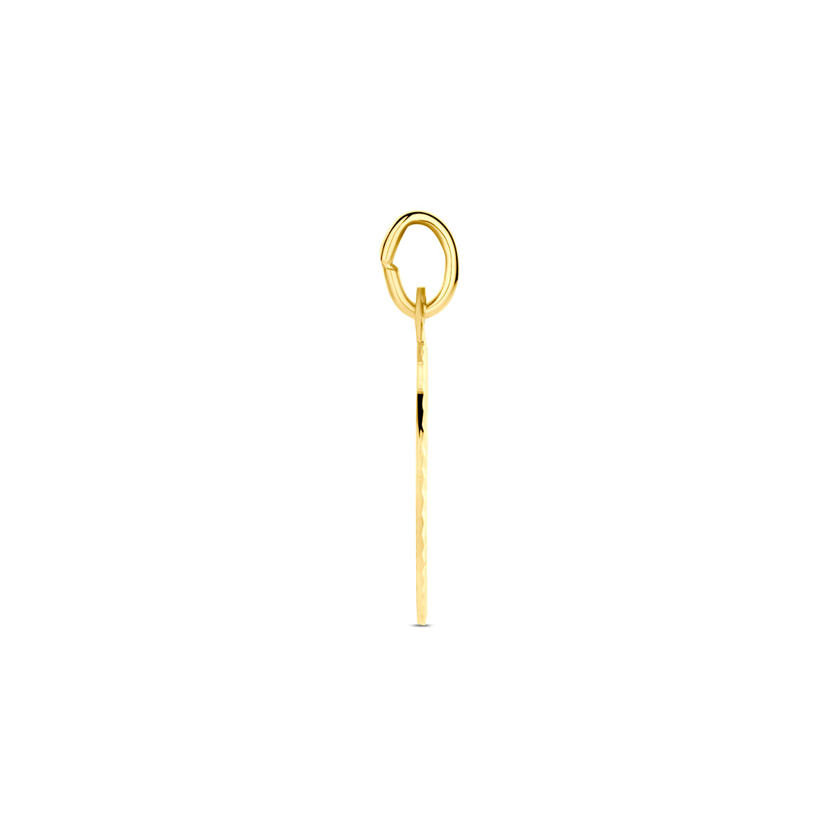 Zijaanzicht van de gouden ronde graveerhanger van 14 karaat.