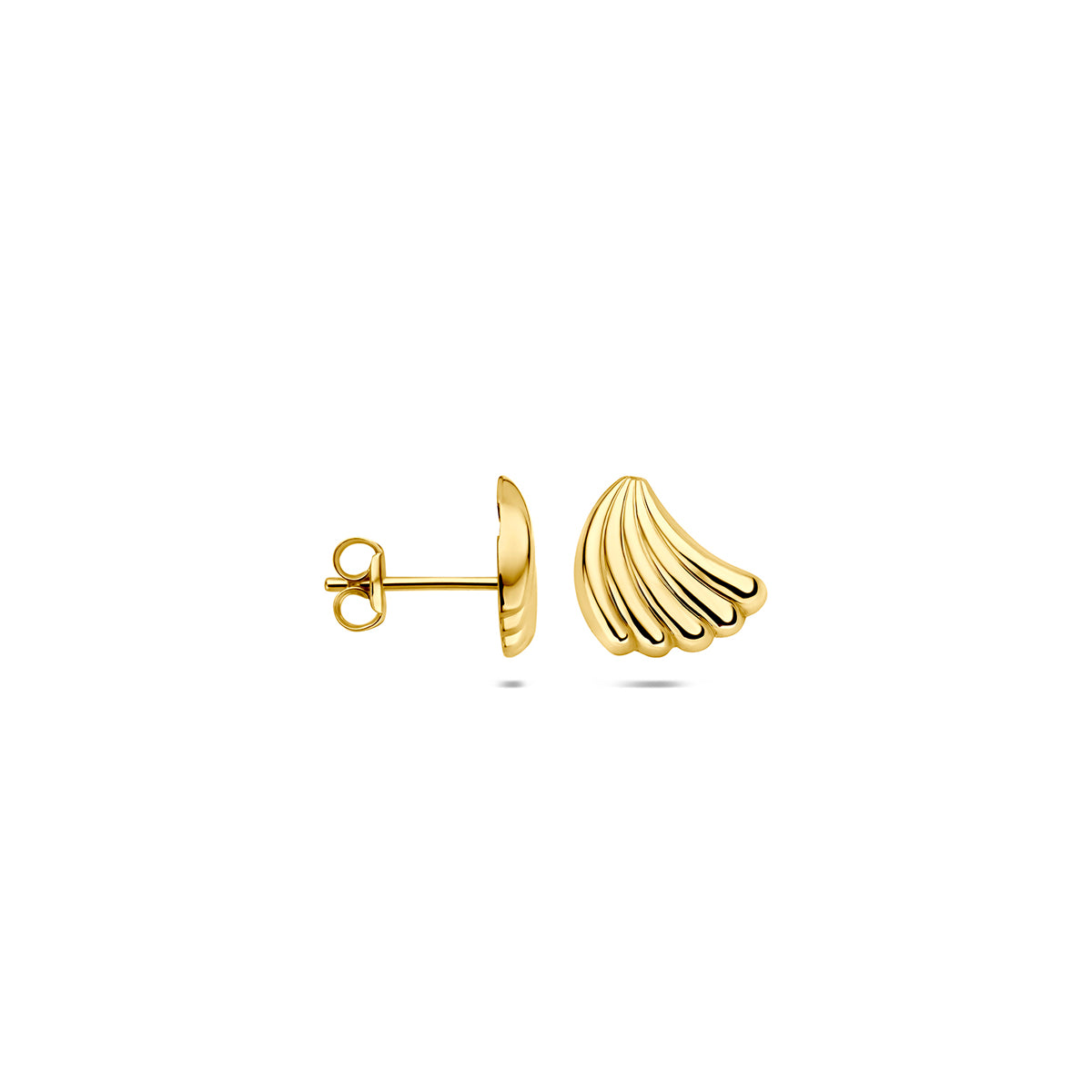 Voor- en zijaanzicht van de gouden schelp oorknopjes van 14 karaat.