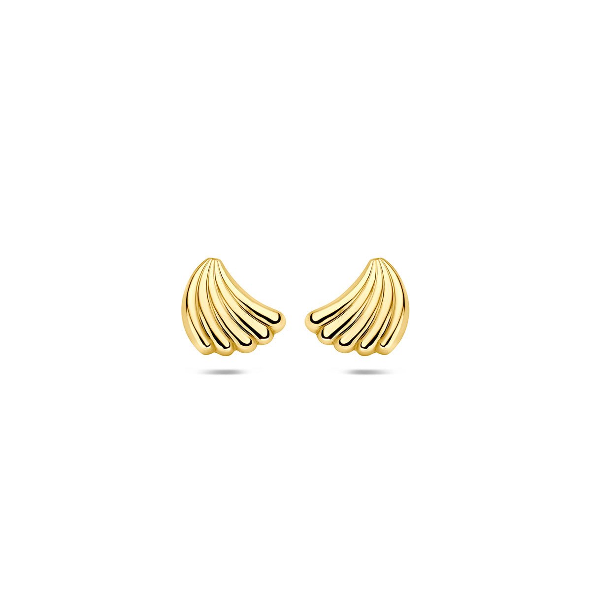 Vooraanzicht van de gouden schelp oorknopjes van 14 karaat.