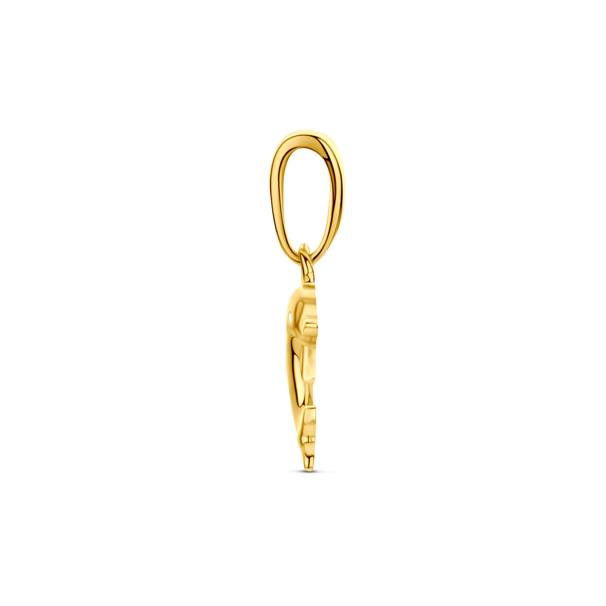 Dolfijn hanger: zijaanzicht van de geelkleurige dolfijn hanger van 9 karaat.