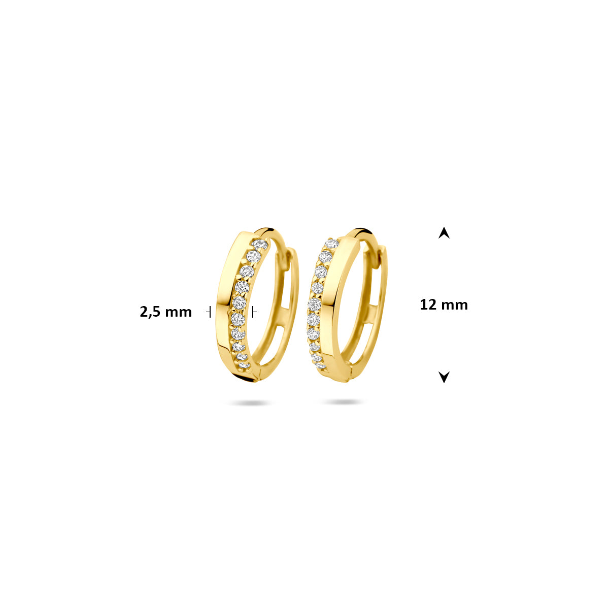 Afmetingen van de geelkleurige klapoorringen met zirkonia van 9 karaat: 12 mm doorsnee en 2,5 mm breed.