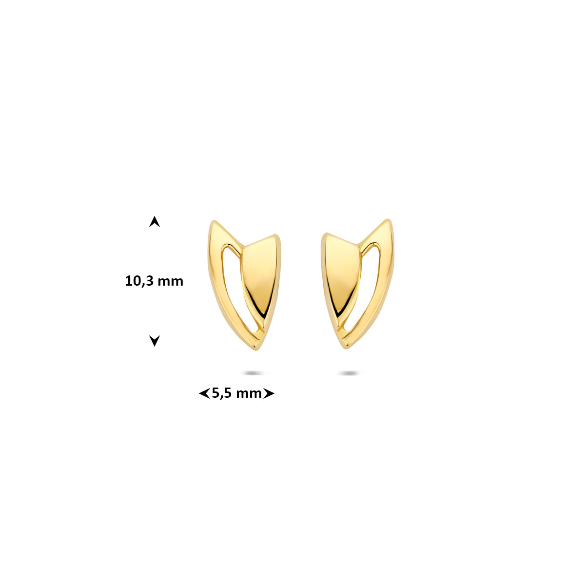 Afmetingen van de geelkleurige oorknopjes van 9 karaat: 10,3 mm hoog en 5,5 mm breed.