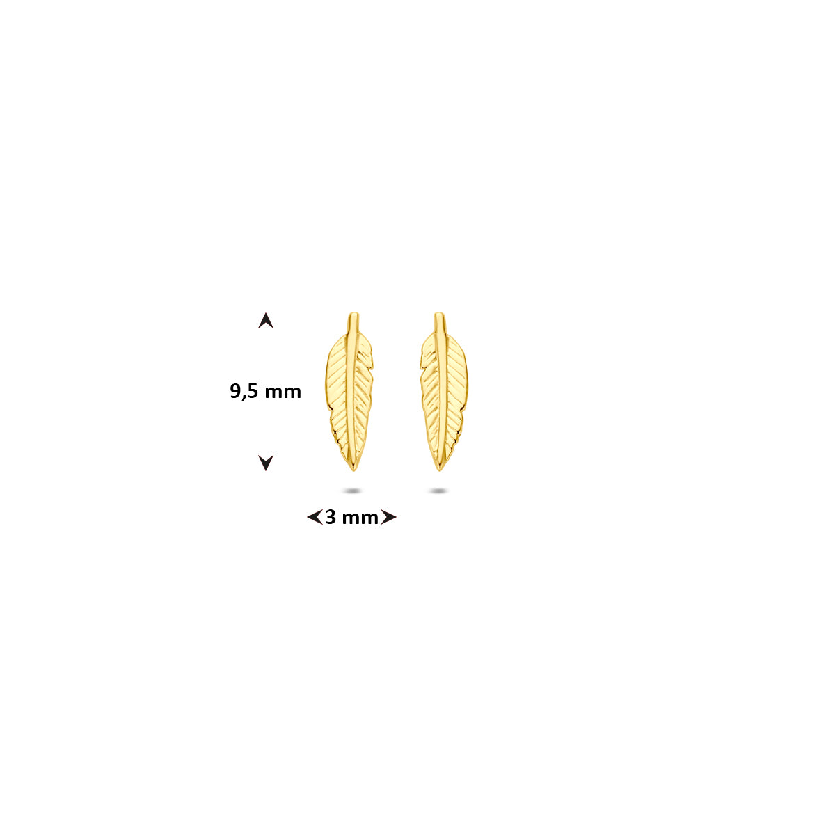 Technische afbeelding van de 9 karaat geelkleurige veer oorknopjes met afmetingen, 9,5 mm hoog en 3 mm breed.