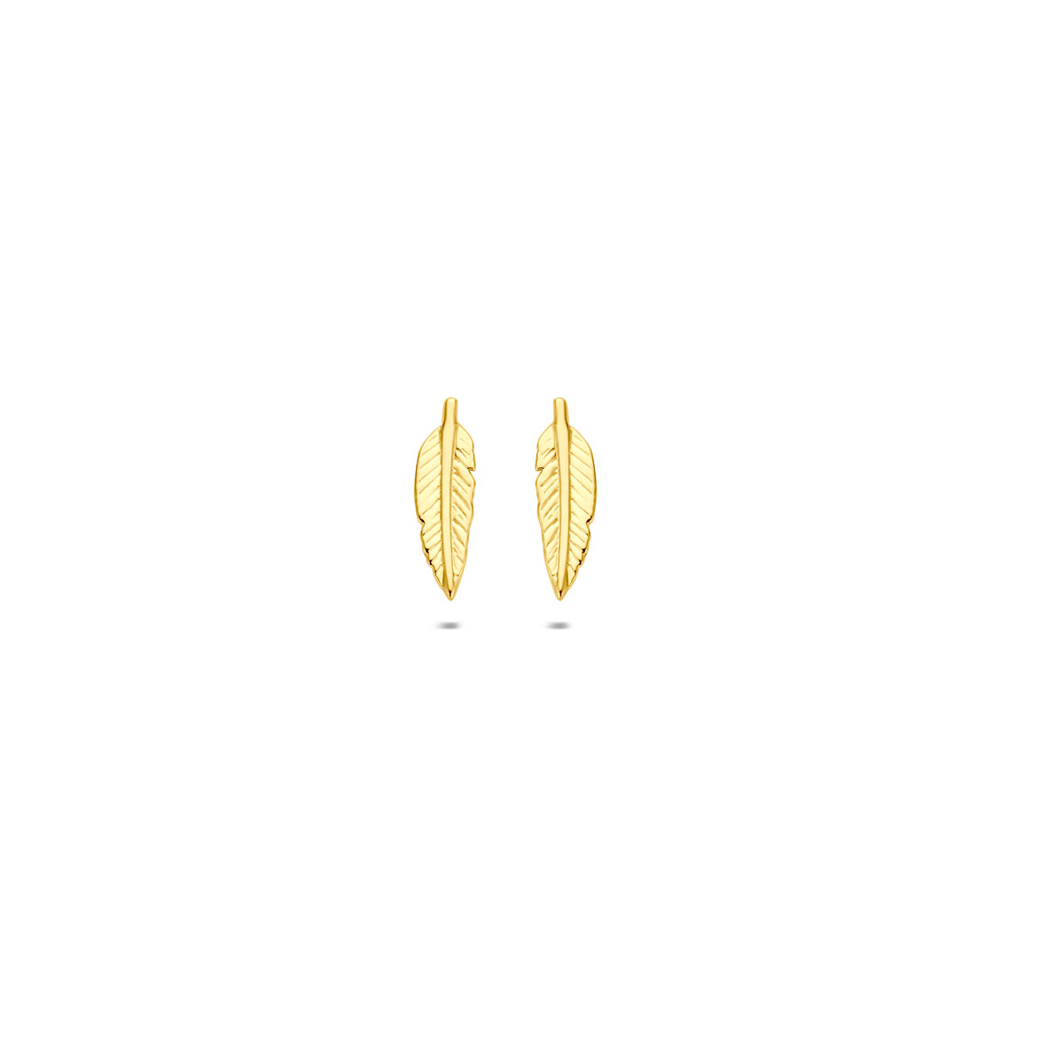 Vooraanzicht van de 9 karaat geelkleurige veer oorknopjes, 9,5 mm hoog en 3 mm breed.