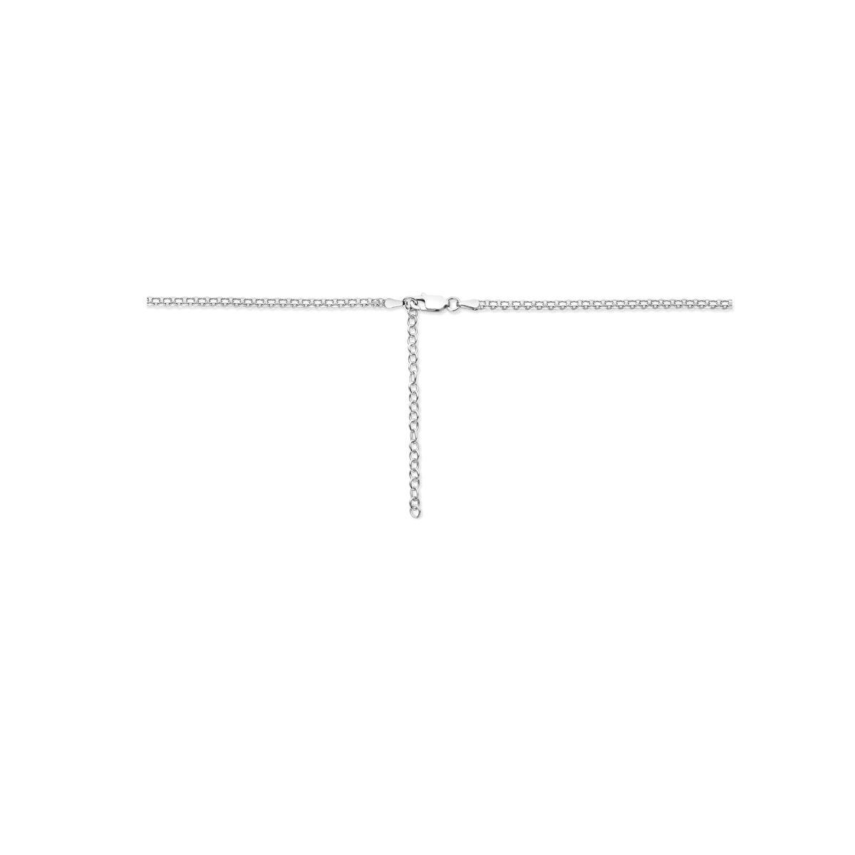 Detail van de zilveren bismarck ketting.