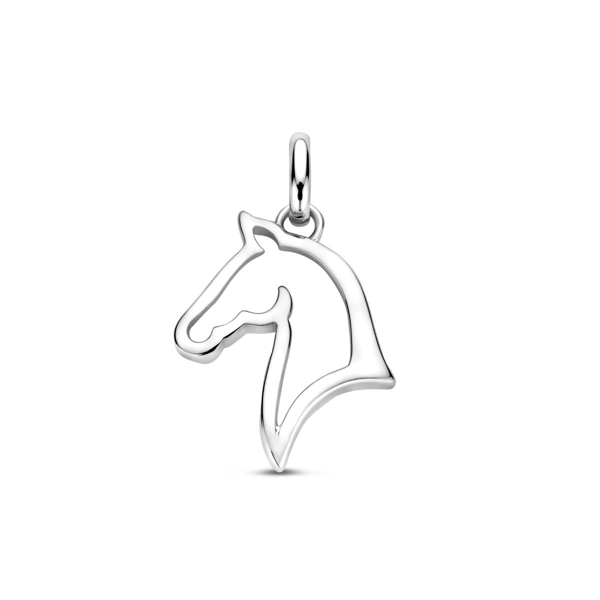 Vooraanzicht van de zilveren paard hanger.