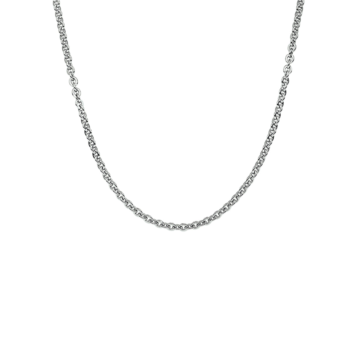 Detail van de moderne platte schakels van de 1,4 mm zilveren halsketting.