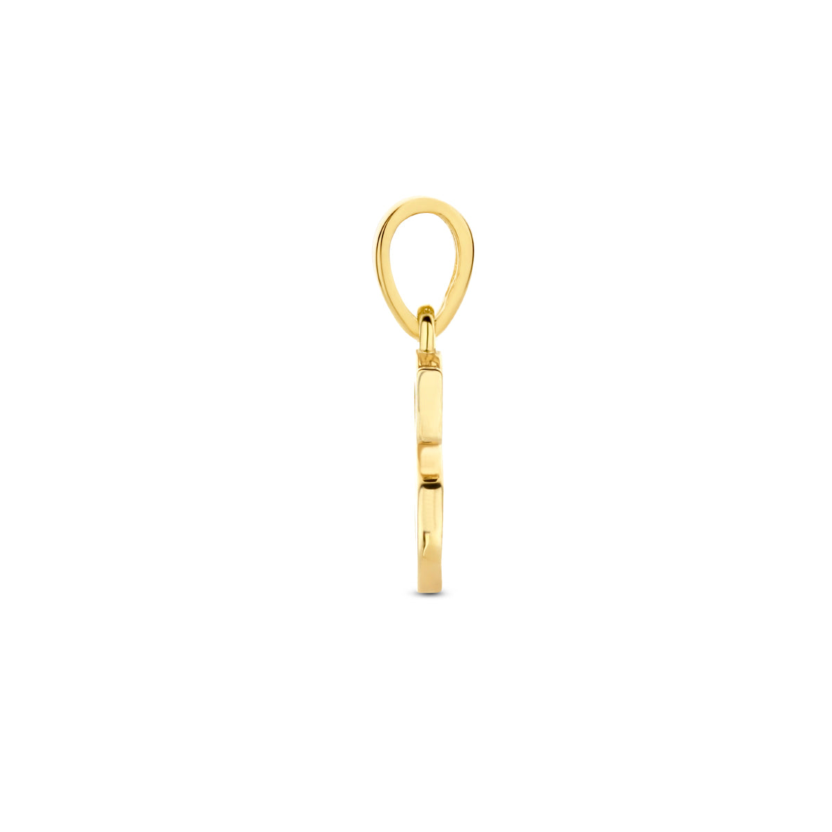 Zijaanzicht van de letterhanger goud van 14 karaat met zirkonia, letter S