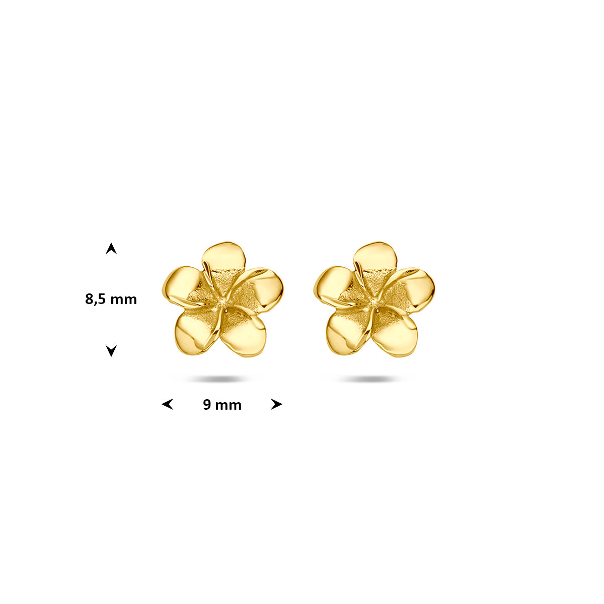 Gouden bloem oorbellen: afmetingen van de 14 karaat geelgouden bloem oorknopjes, 8,5 mm hoog en 9,0 mm breed.