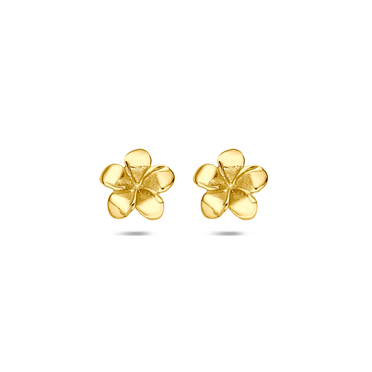 Gouden bloem oorbellen: vooraanzicht van de 14 karaat geelgouden bloem oorknopjes.