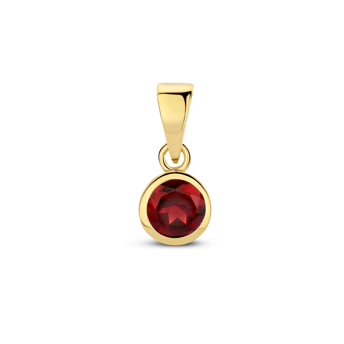Vooraanzicht van de 14 karaat geelgouden geboortesteenhanger januari, 11 mm hoog en 5 mm breed.