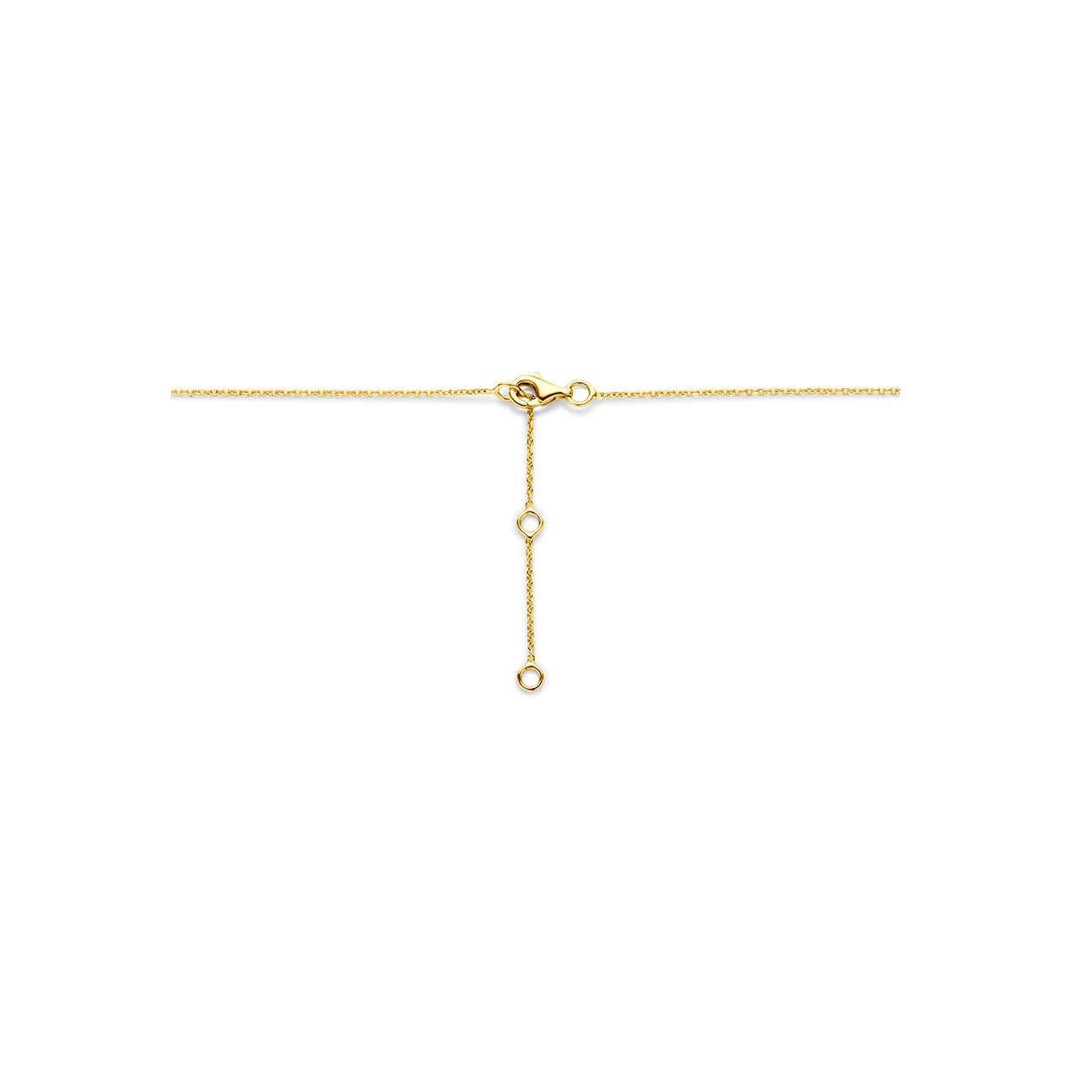 Rookkwarts ketting: detail van de 14 karaat geelgouden ketting met druppel en rookkwarts.