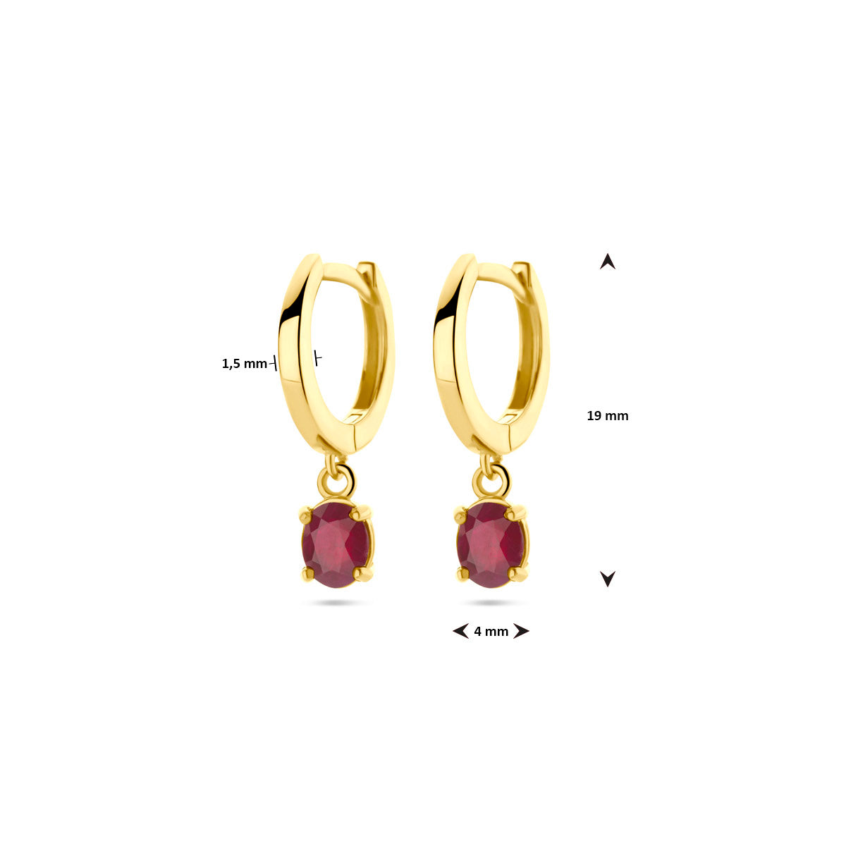 Technische afbeelding van de 14 karaat geelgouden klapoorringen met robijn met afmetingen, 19 mm hoog en 1,5 mm breed.
