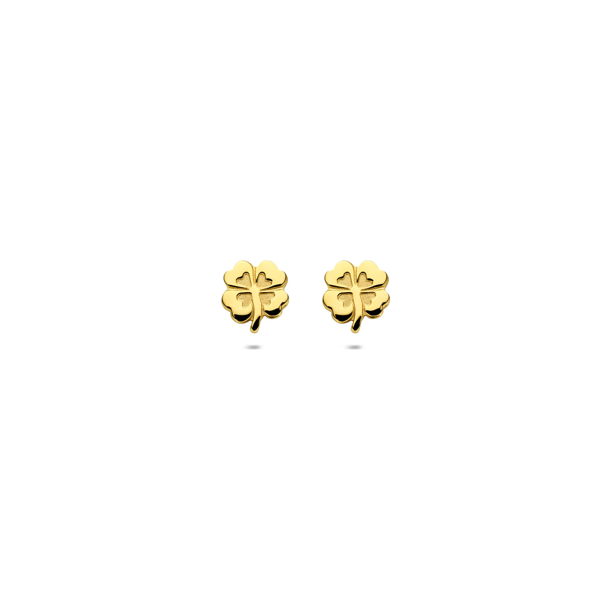 Vooraanzicht van de 14 karaat geelgouden klavertje oorknopjes, 5,5 mm hoog en 5 mm breed.