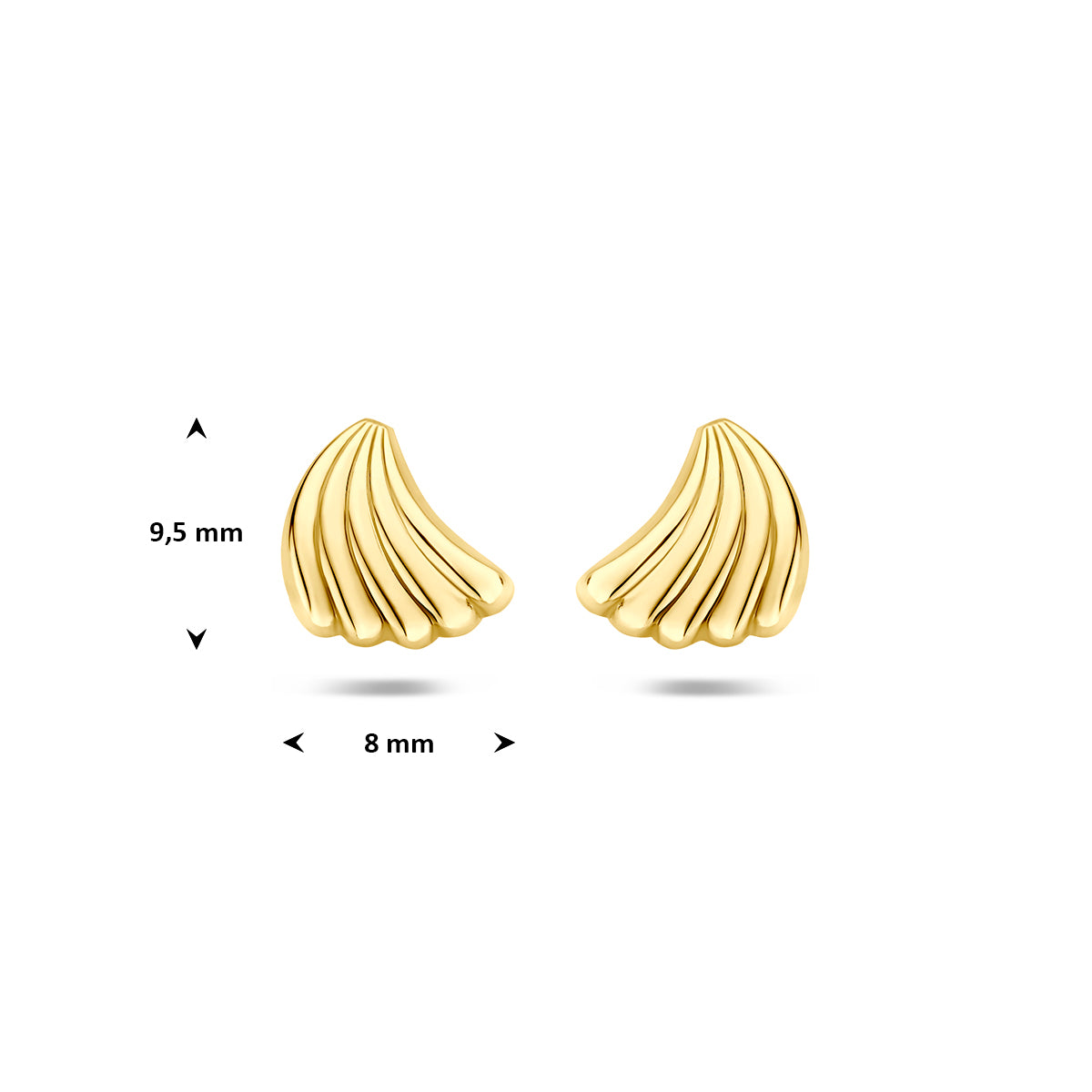 Technische afbeelding van de 14 karaat geelgouden schelp oorknopjes met afmetingen, 9,5 mm hoog en 8 mm breed.
