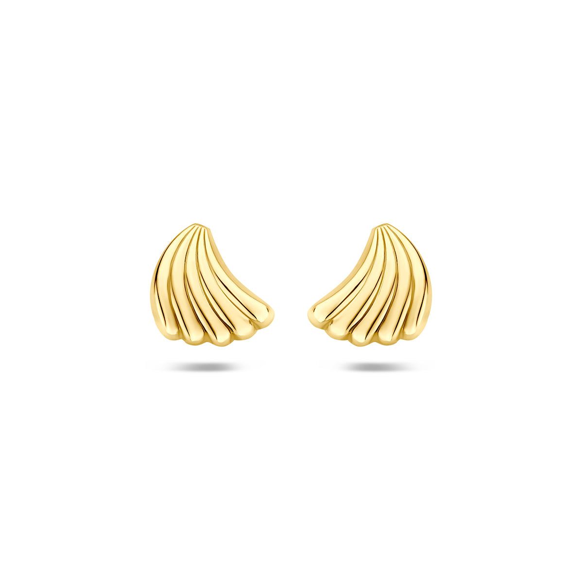 Vooraanzicht van de 14 karaat geelgouden schelp oorknopjes, 9,5 mm hoog en 8 mm breed.