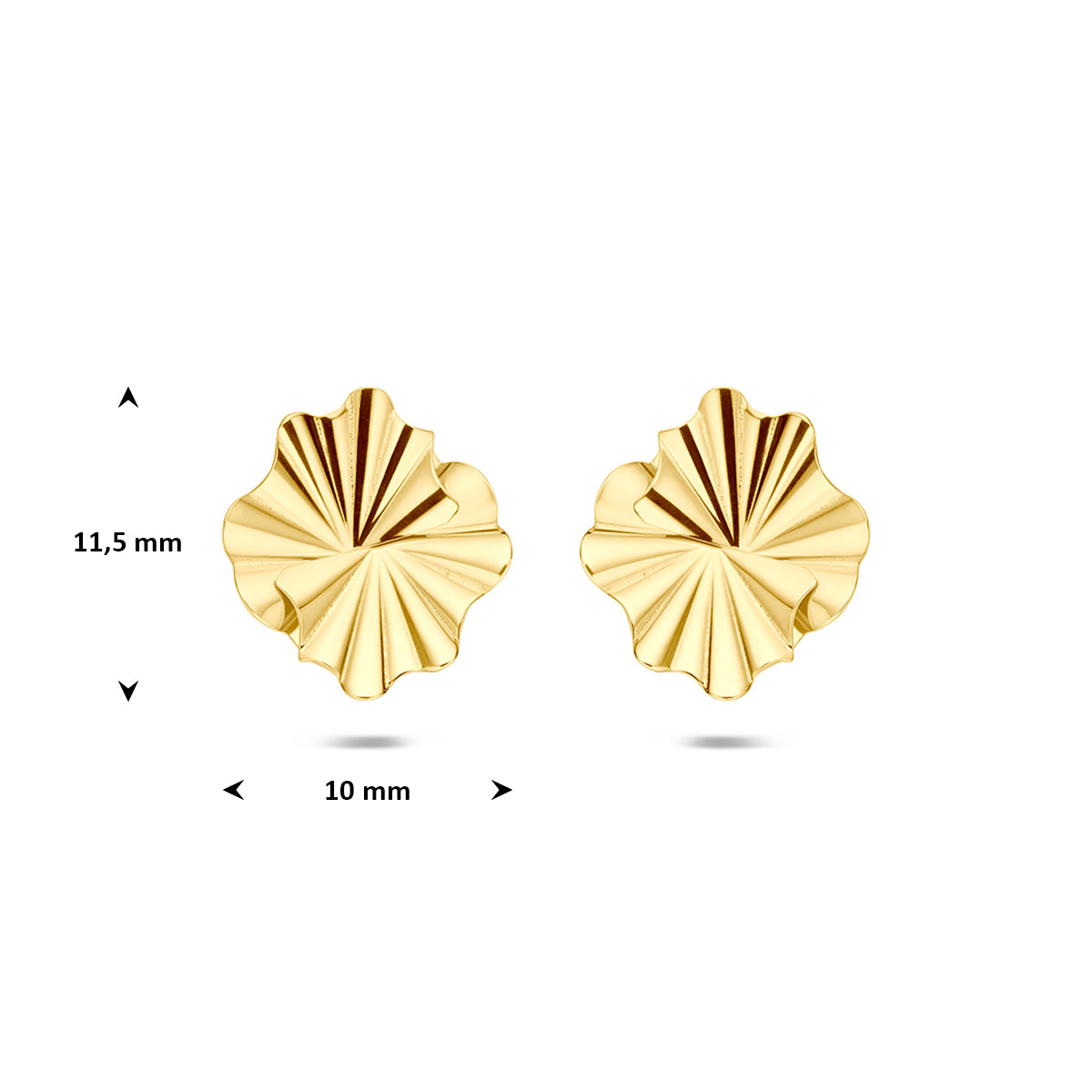 Gouden oorknopjes: afmetingen van de 14 karaat geelgouden waaier oorknopjes, 11,5 mm hoog en 10,0 mm breed.