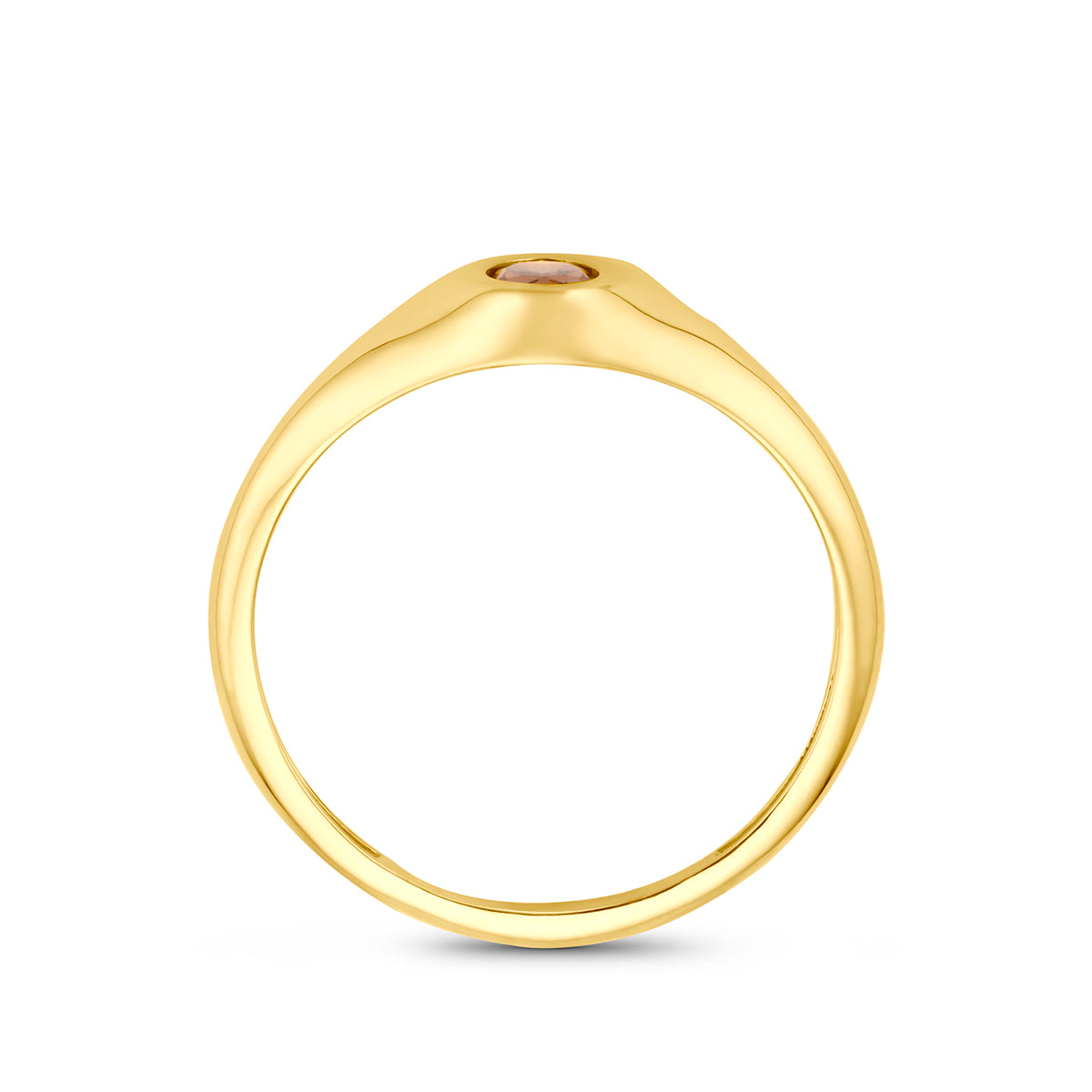 Rookkwarts ring: zijaanzicht van de 14 karaat geelgouden zegelring met rookkwarts.