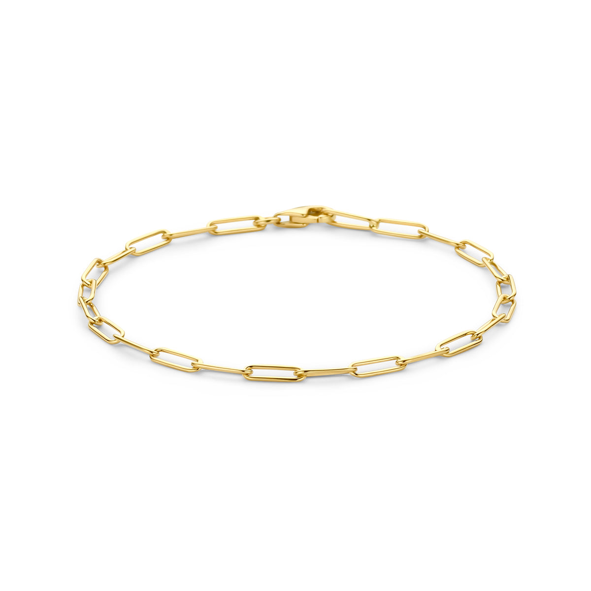 Vooraanzicht van de 14 karaat gouden ankerschakelarmband, 19 cm lang.