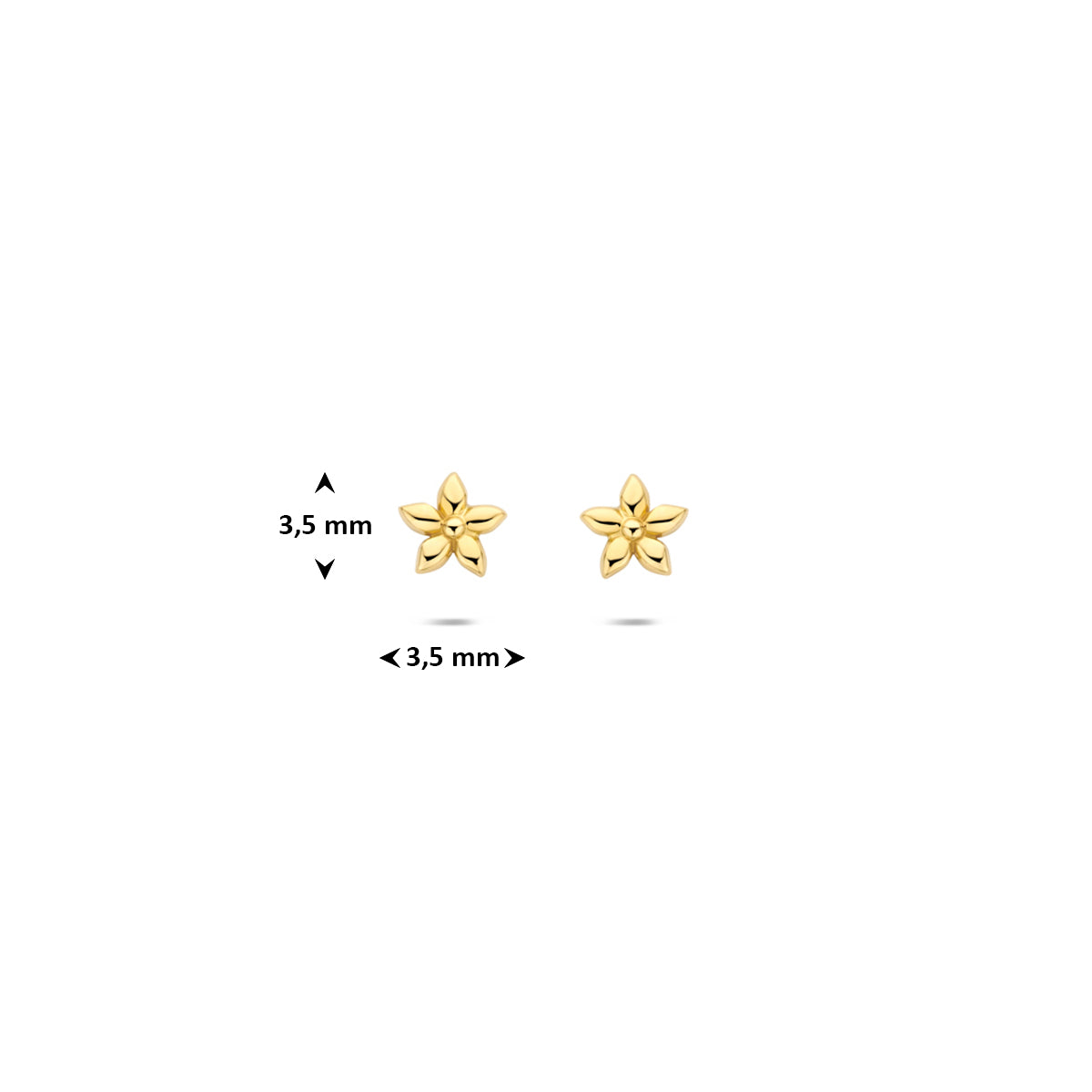 Afmetingen van de gouden bloem oorknopjes van 14 karaat: 3,5 mm hoog en 3,5 mm breed.