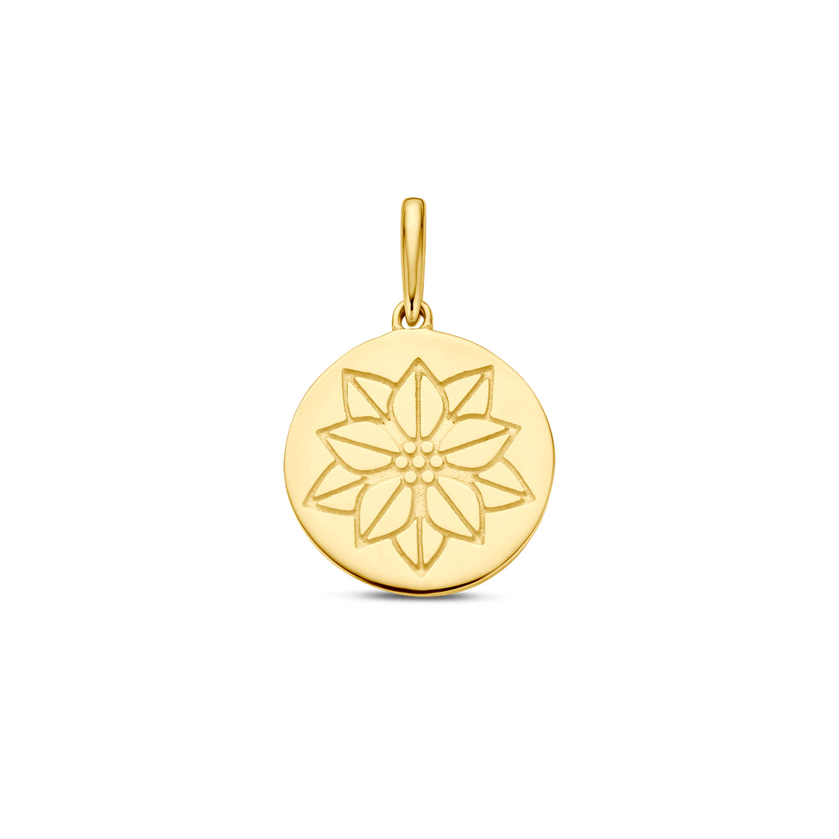 Vooraanzicht van de gouden geboortebloem hanger december van 14 karaat.