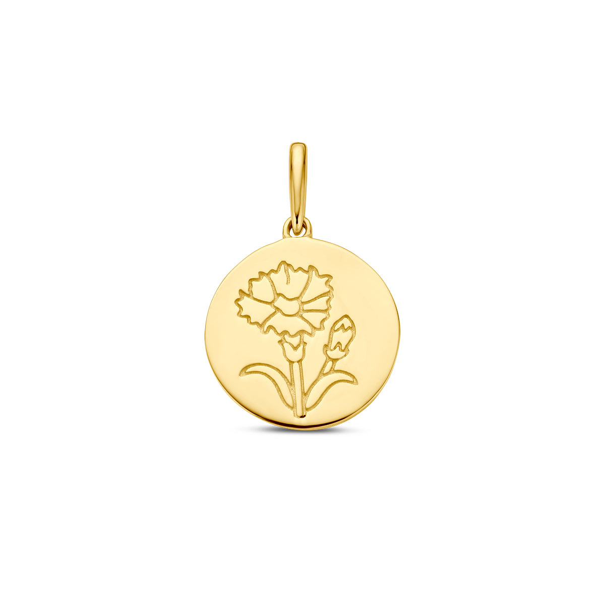 Vooraanzicht van de gouden geboortebloem hanger januari van 14 karaat.