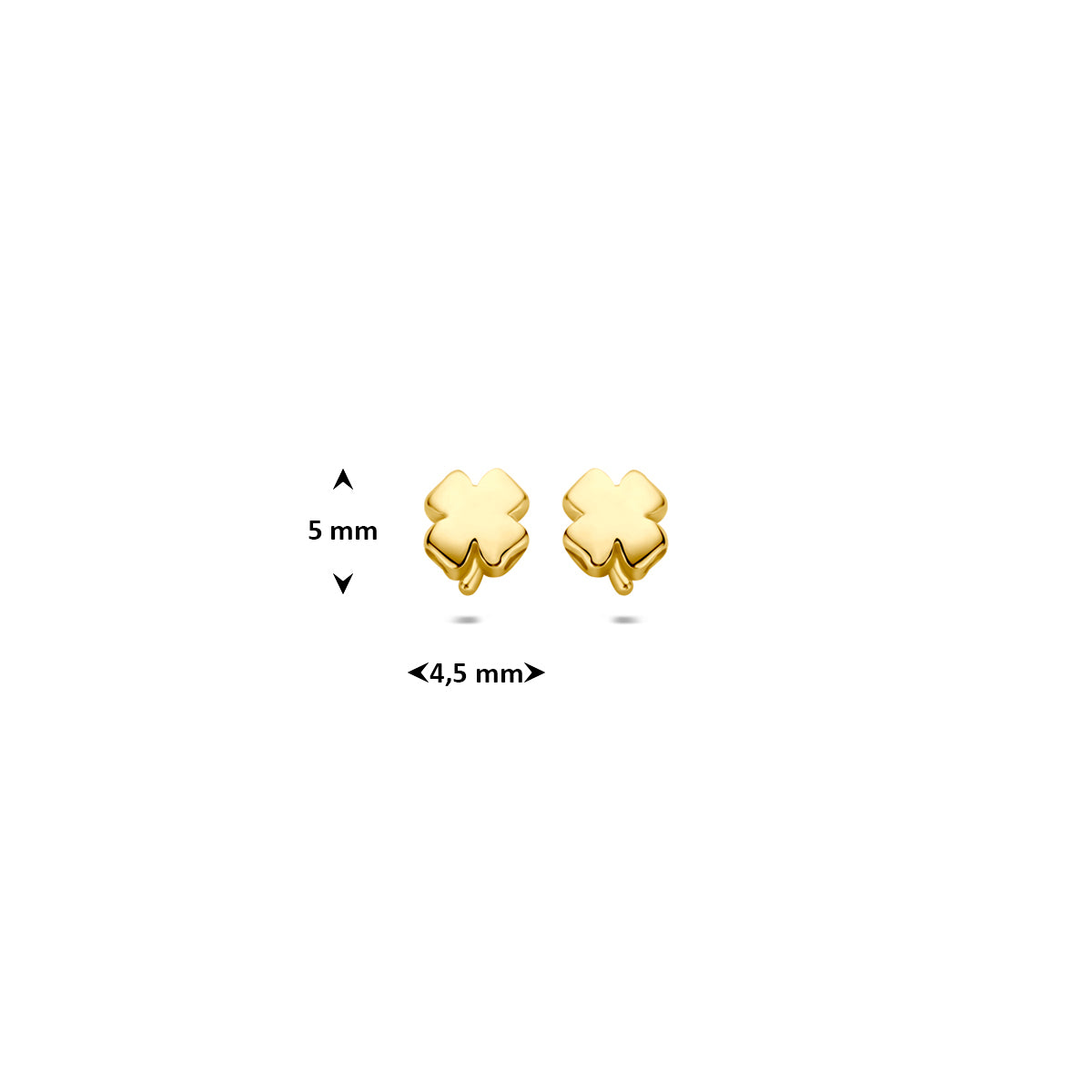 Afmetingen van de gouden klaver oorknopjes van 14 karaat: 5 mm hoog en 4,5 mm breed.