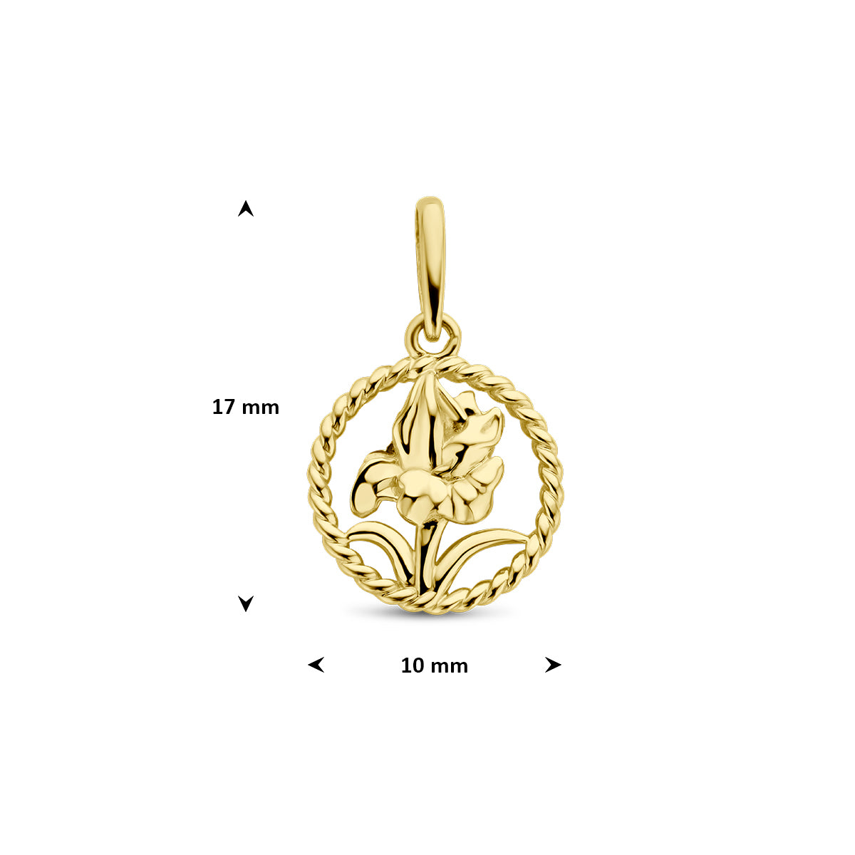 Afmetingen van de gouden ronde geboortebloem hanger augustus van 14 karaat: 17 mm hoog inclusief oog en 10 mm doorsnee.