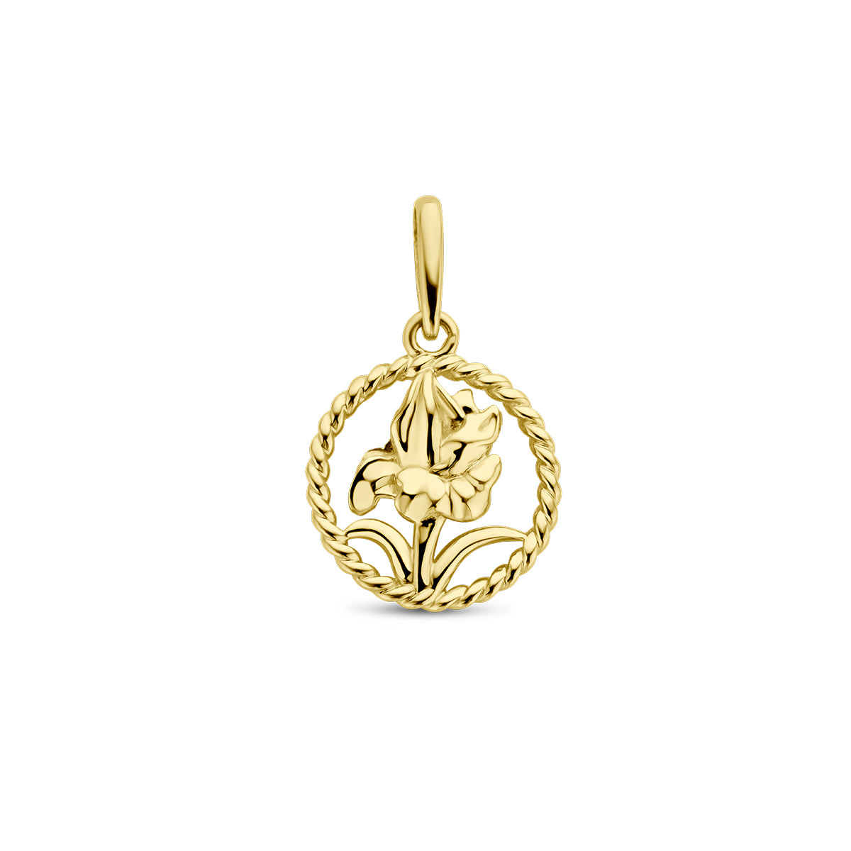 Vooraanzicht van de gouden ronde geboortebloem hanger augustus van 14 karaat.