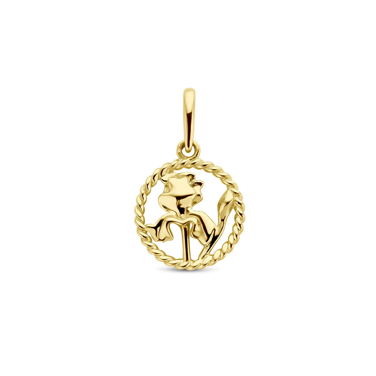 Vooraanzicht van de gouden ronde geboortebloem hanger februari van 14 karaat.