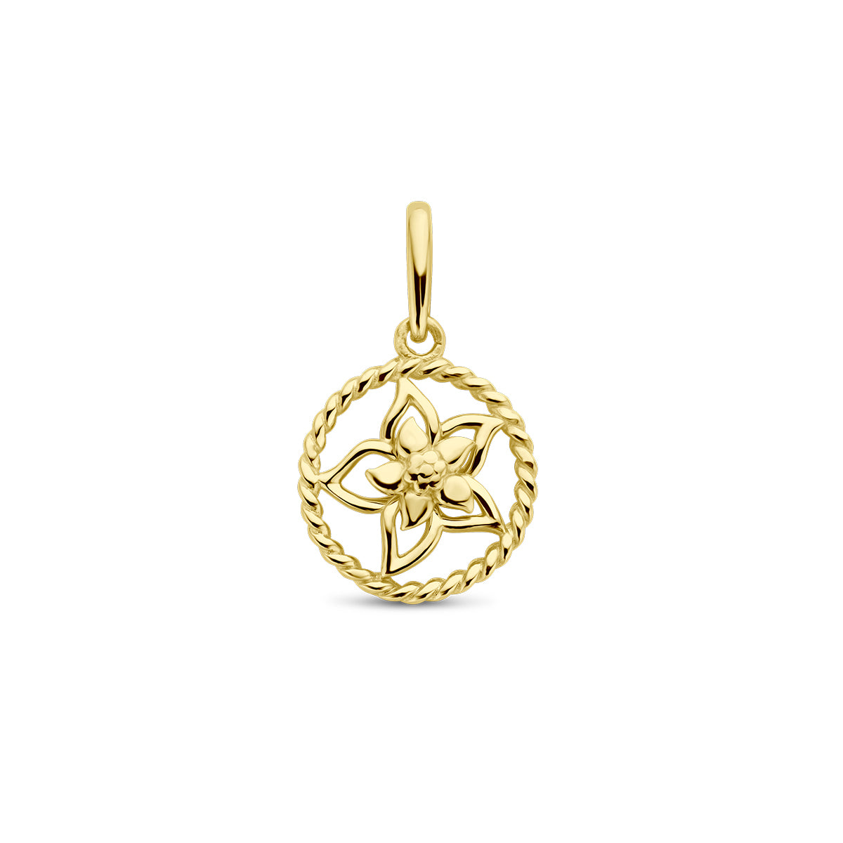 Vooraanzicht van de gouden ronde geboortebloem hanger juli van 14 karaat.